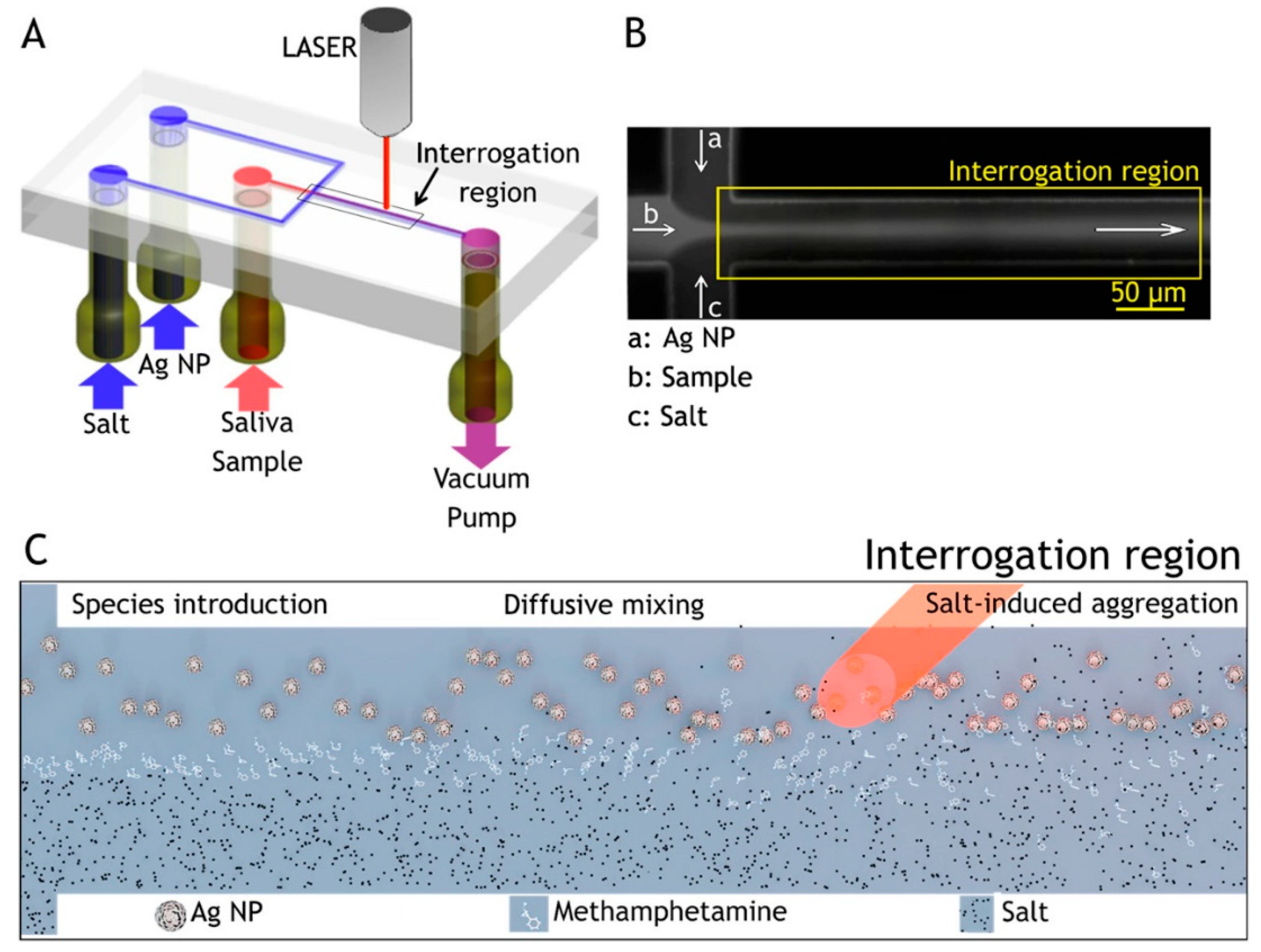 Sensors 22 03877 g005 Sensors 22 03877 g005