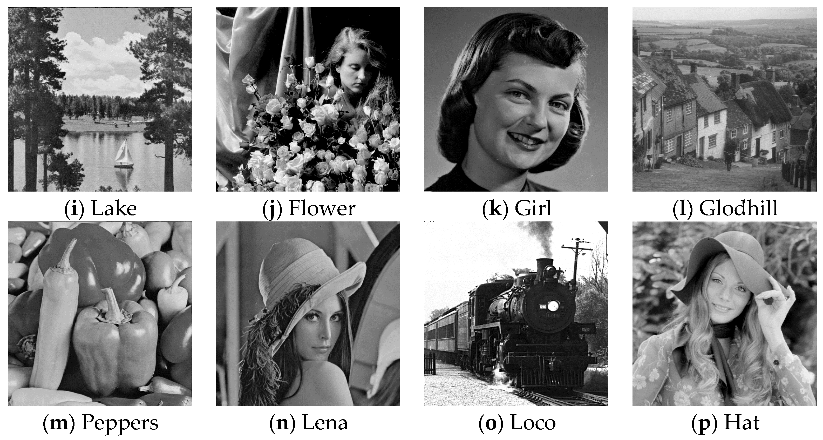 Sensors 22 04872 g009b