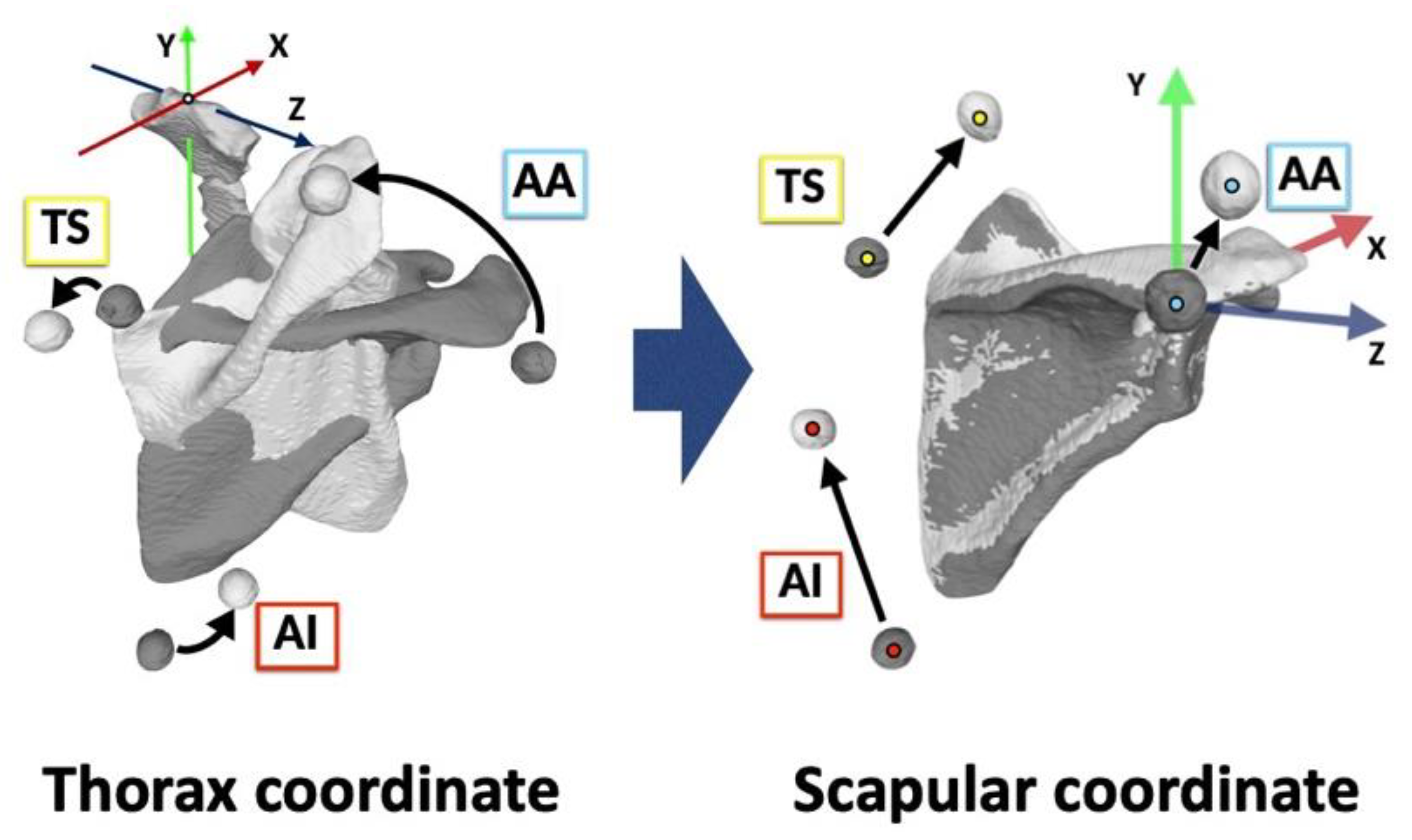 Sensors 22 06502 g006