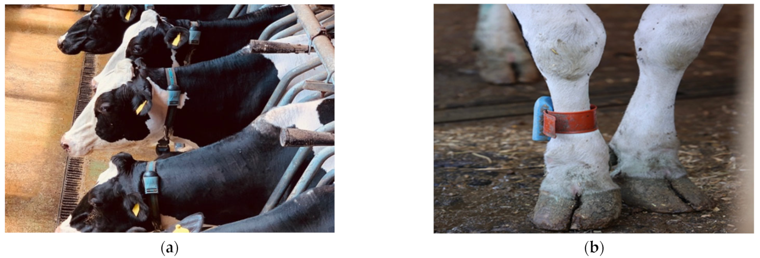 Sensors 22 06566 g002