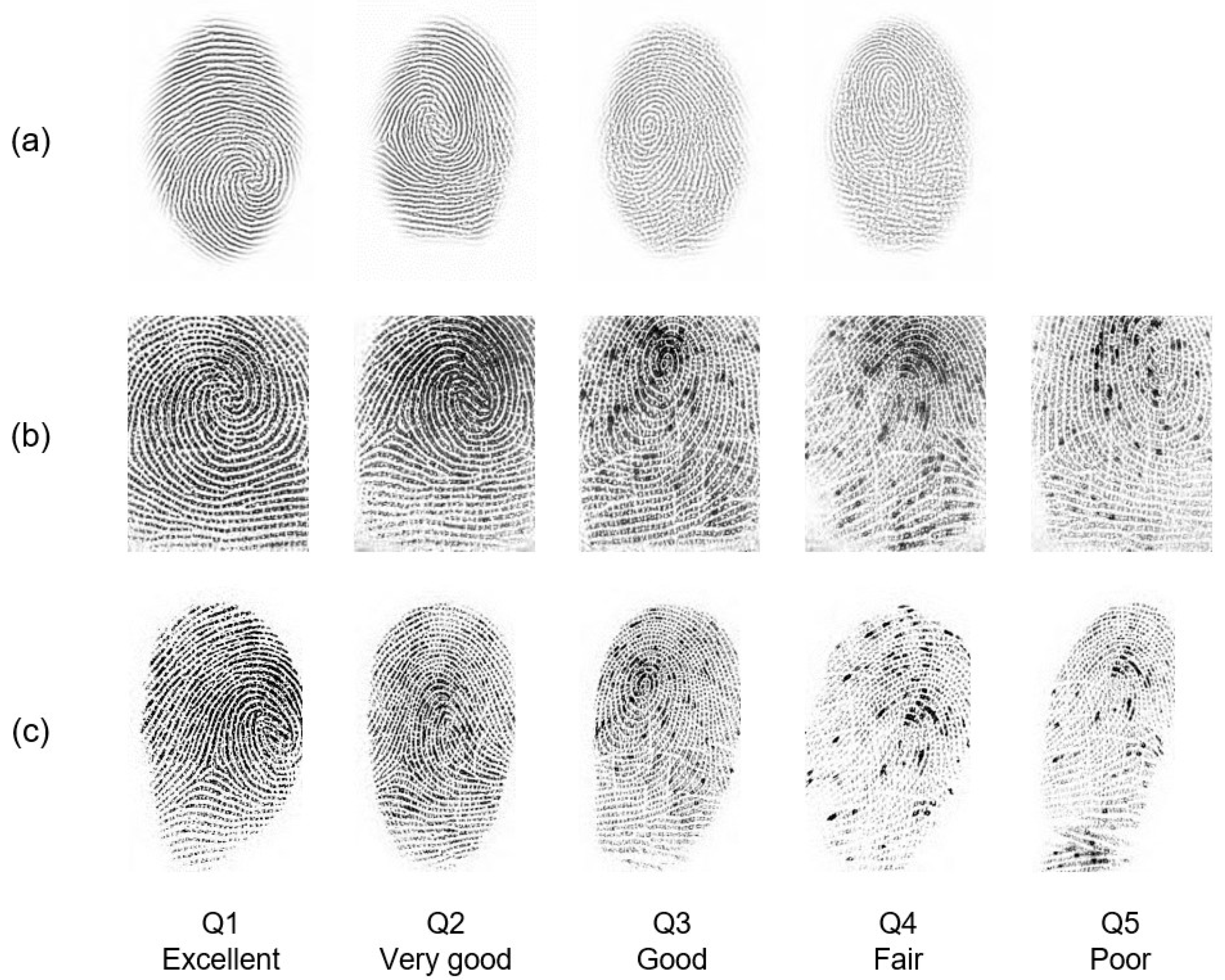 Sensors Free Full Text Cross Sensor Fingerprint Enhancement Using