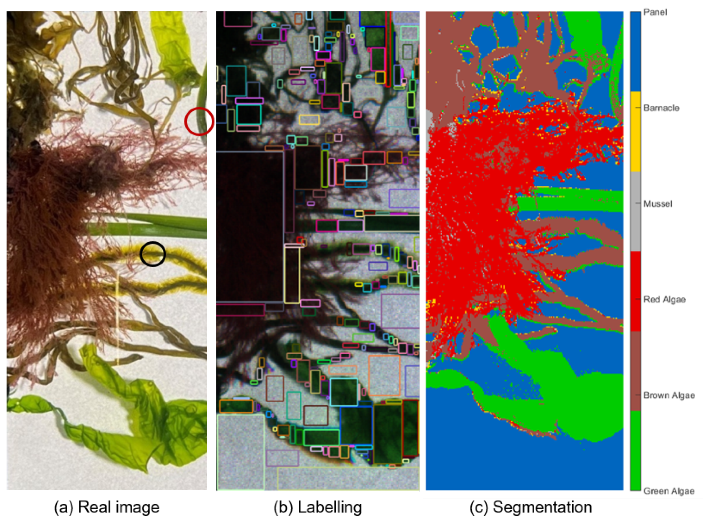 Sensors 22 07074 g007 Sensors 22 07074 g007
