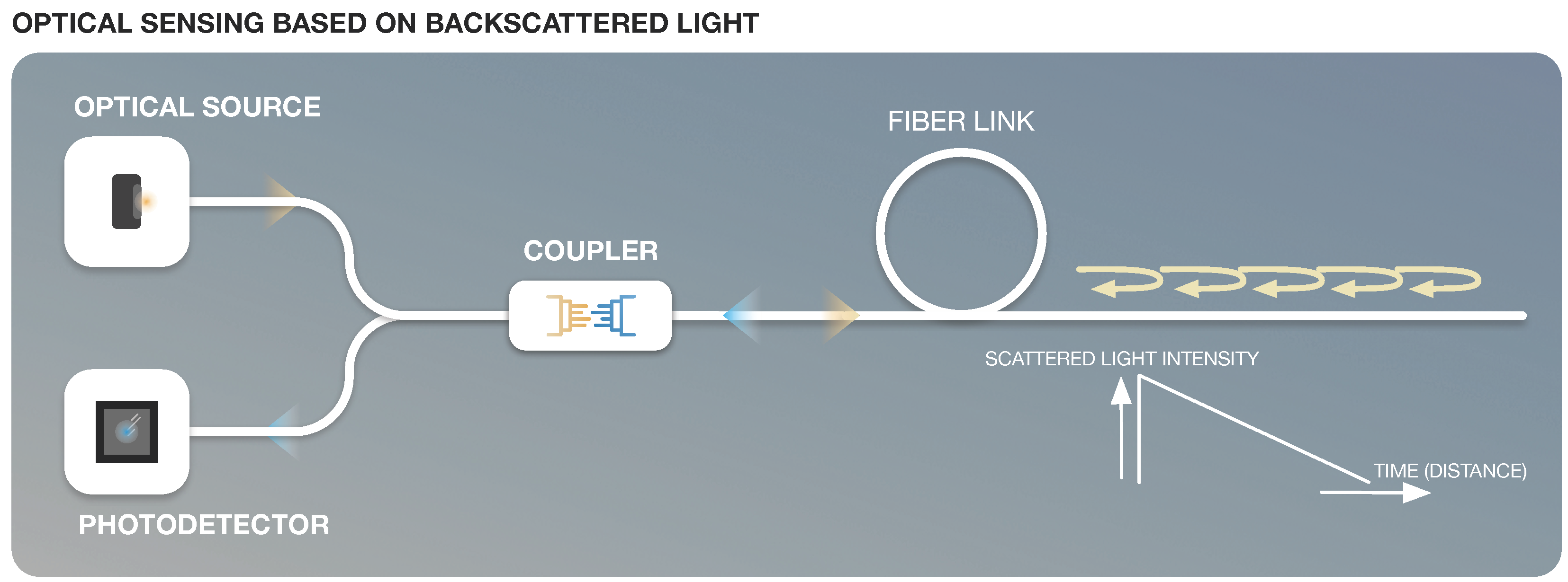 Sensors 22 07554 g006