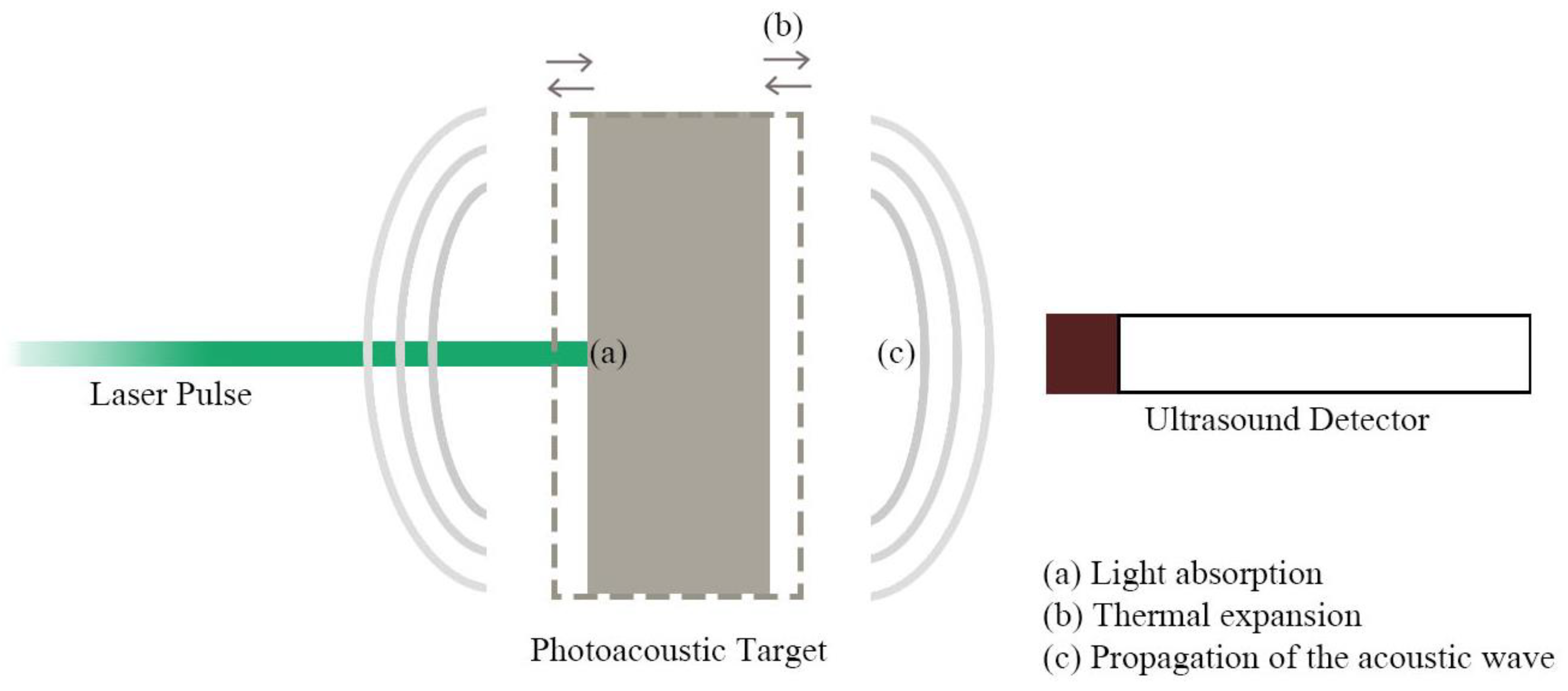 Sensors 22 09541 g003 Sensors 22 09541 g003