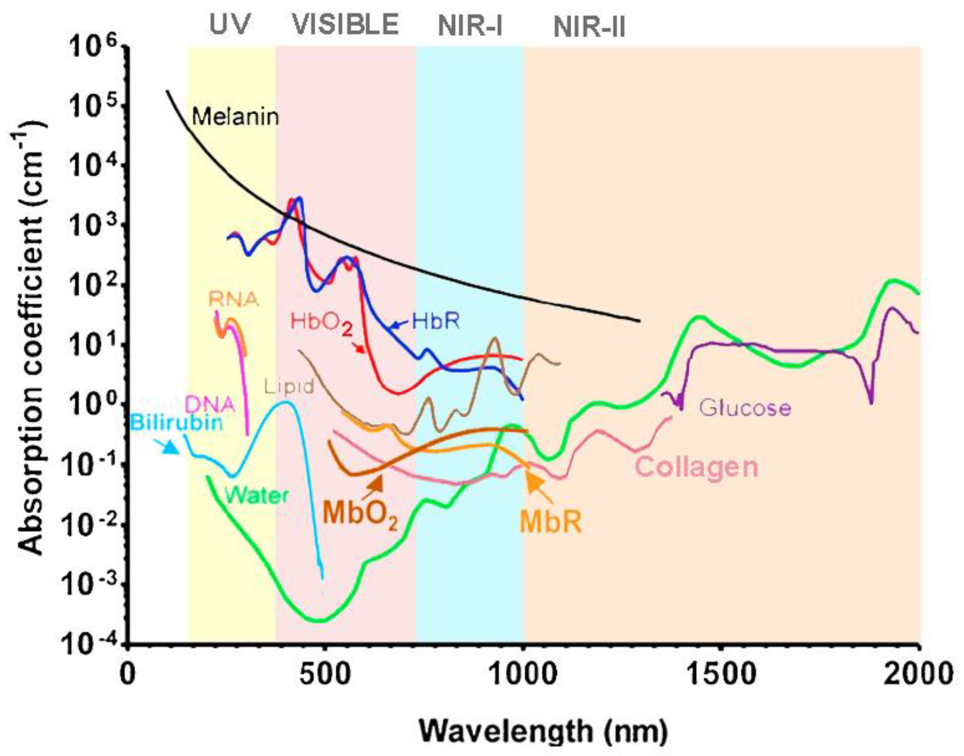 Sensors 22 09541 g004 Sensors 22 09541 g004