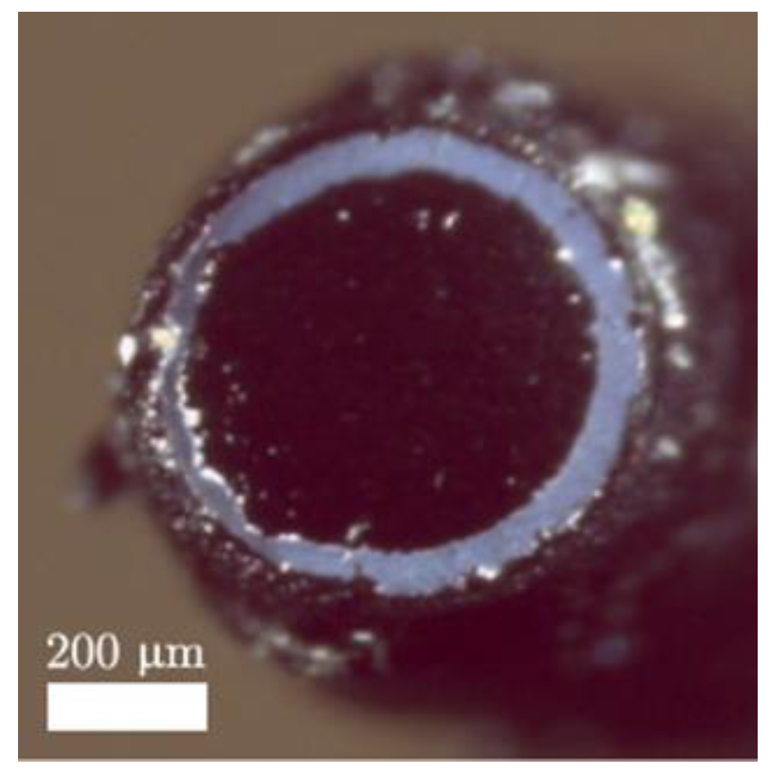 Sensors 22 09541 g008 Sensors 22 09541 g008