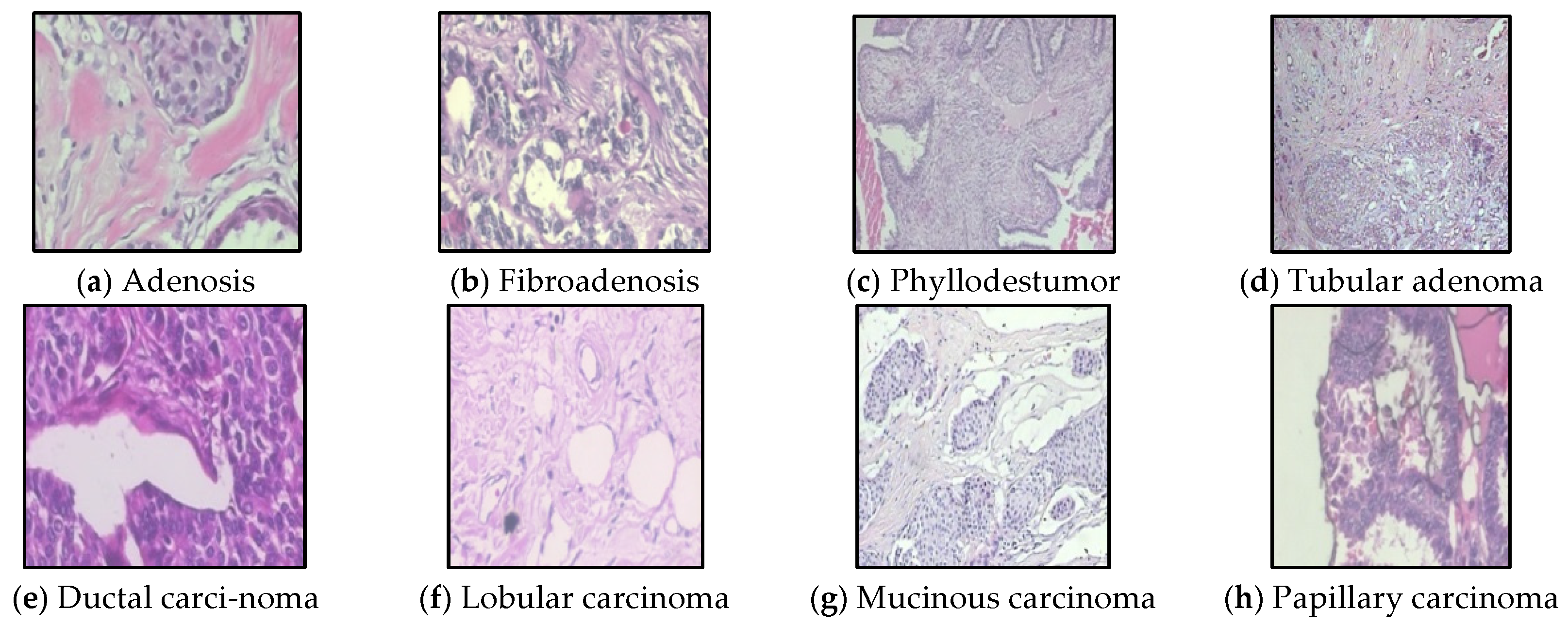 Sensors 22 09967 g006 Sensors 22 09967 g006