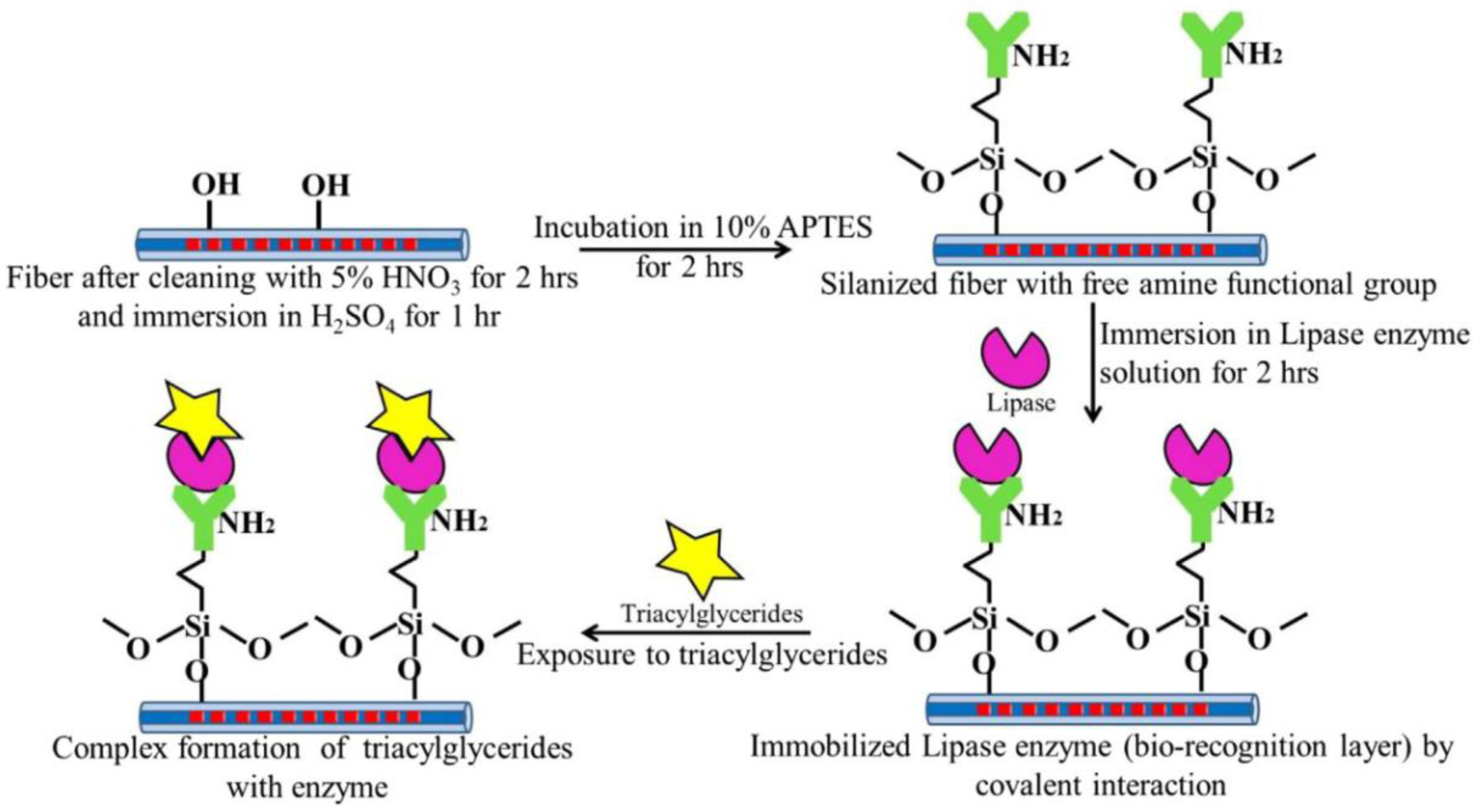 Sensors 23 00542 g009 Sensors 23 00542 g009