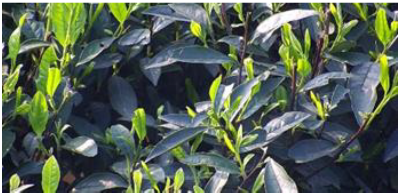 Sensors 23 00571 g006 Sensors 23 00571 g006