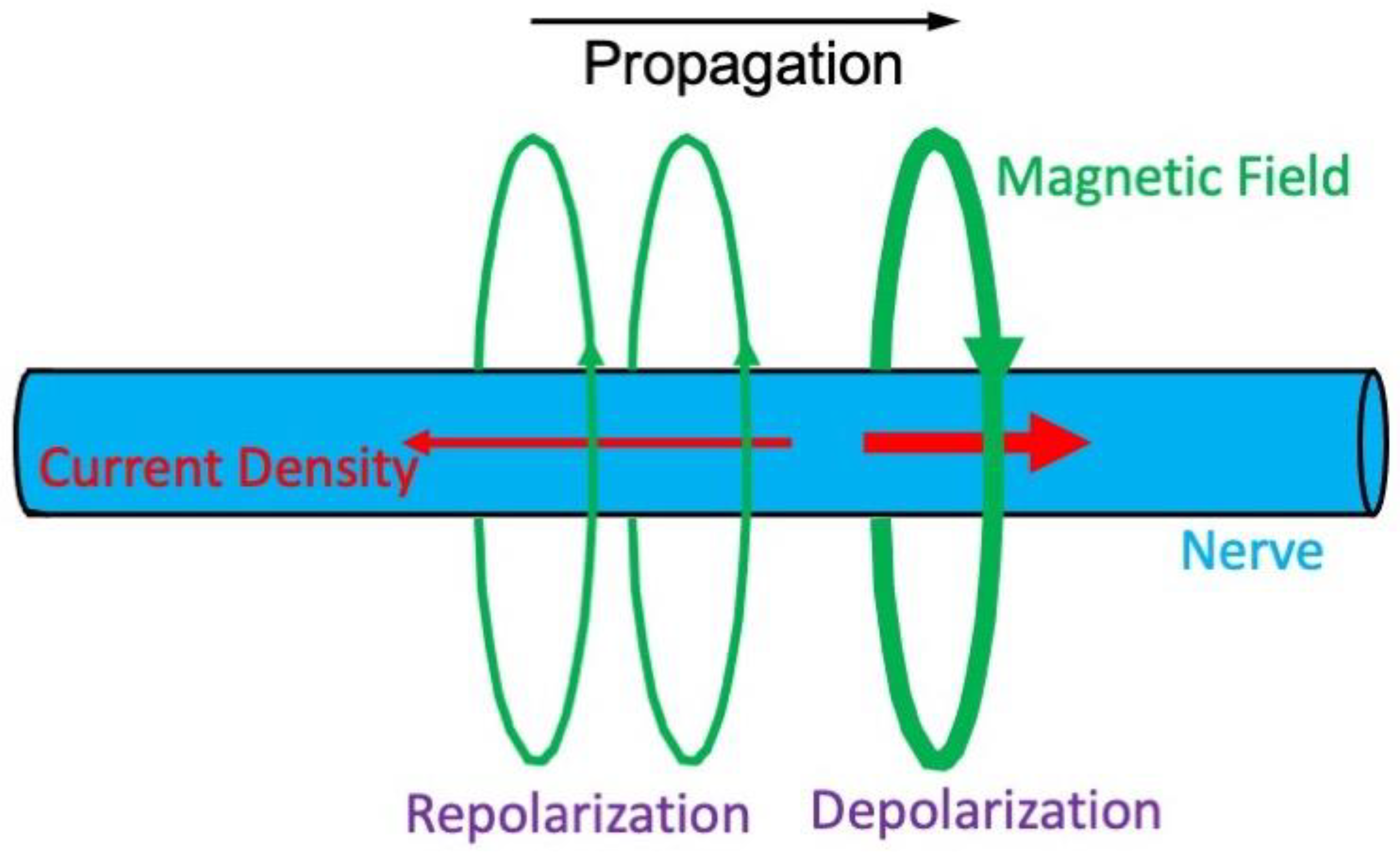 Sensors 23 01337 g002 Sensors 23 01337 g002