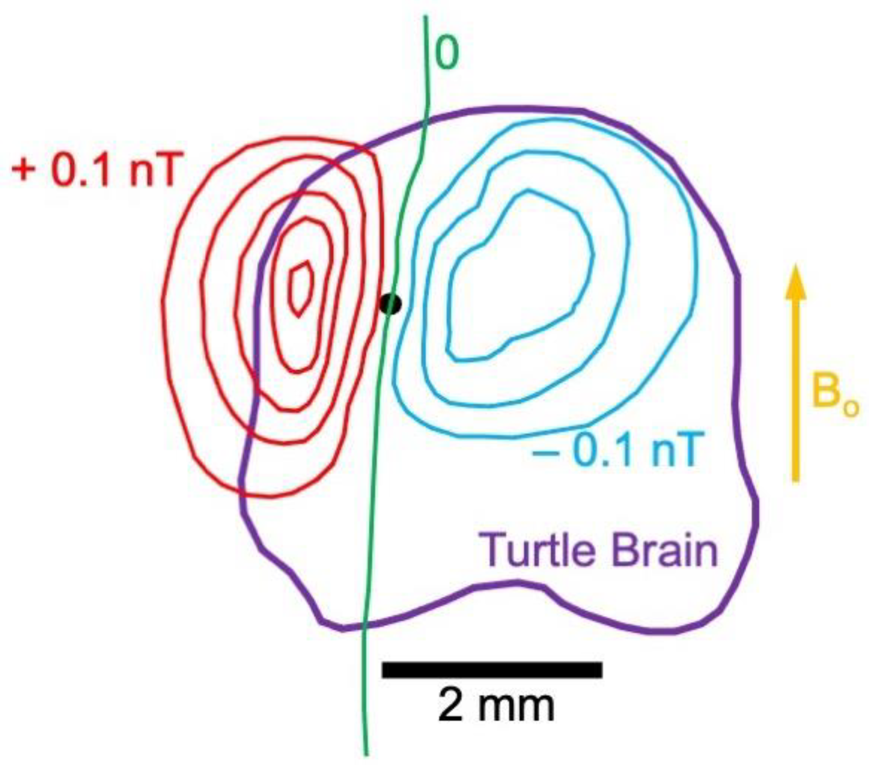 Sensors 23 01337 g011 Sensors 23 01337 g011