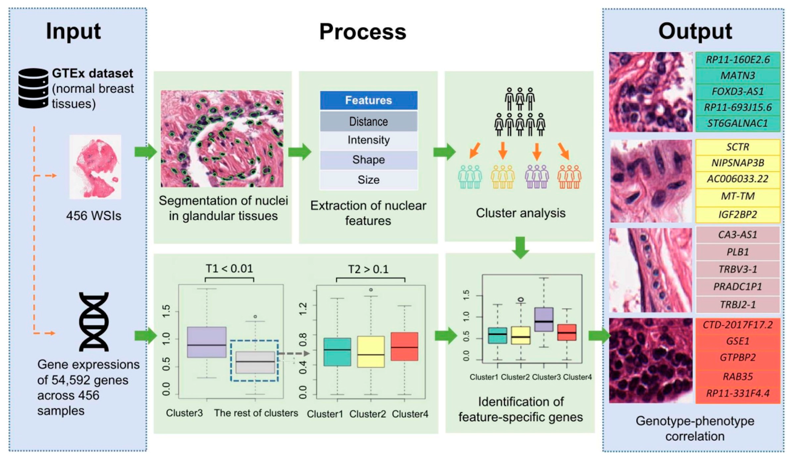 Sensors 23 01432 g002