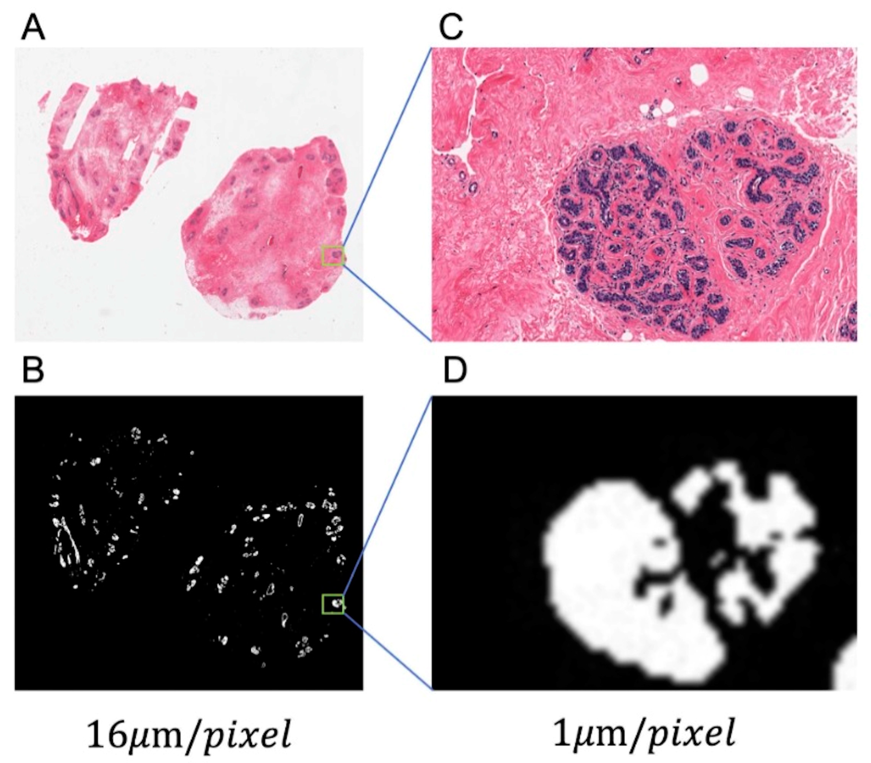 Sensors 23 01432 g003