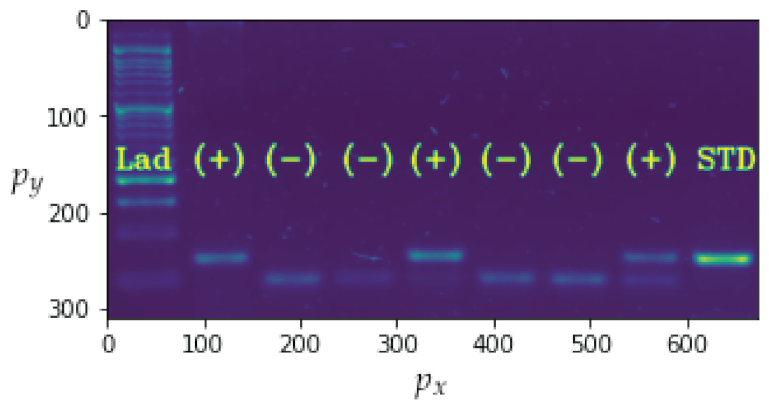 Sensors 23 01533 g021 Sensors 23 01533 g021