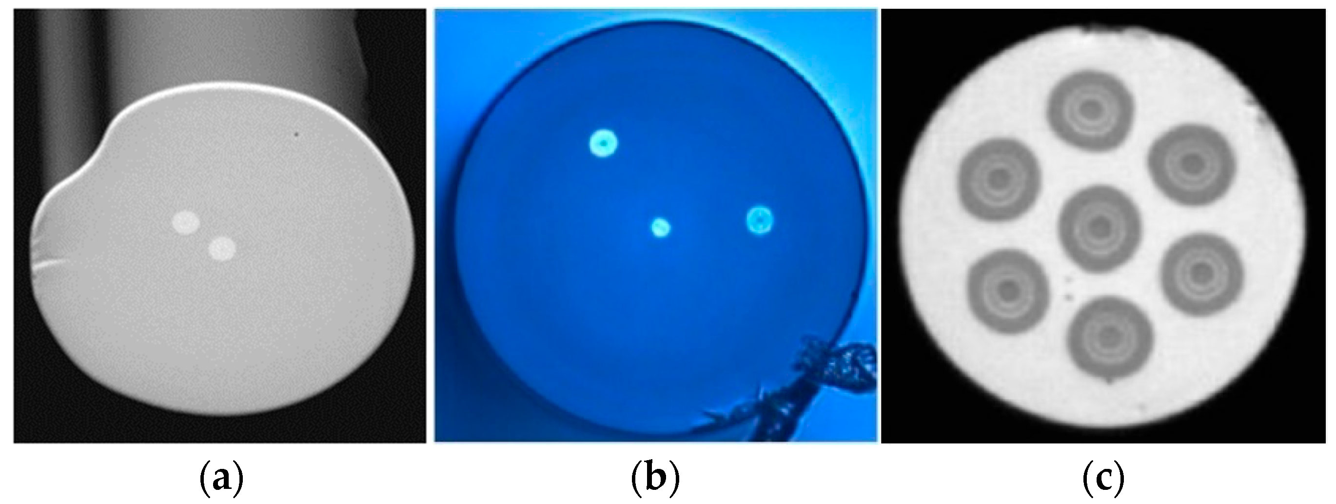 Sensors 23 03436 g001 Sensors 23 03436 g001