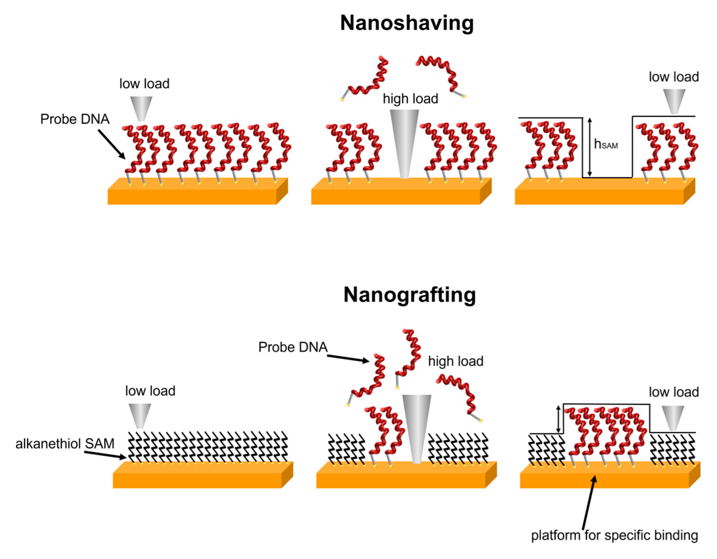 Sensors 23 04557 g001 Sensors 23 04557 g001