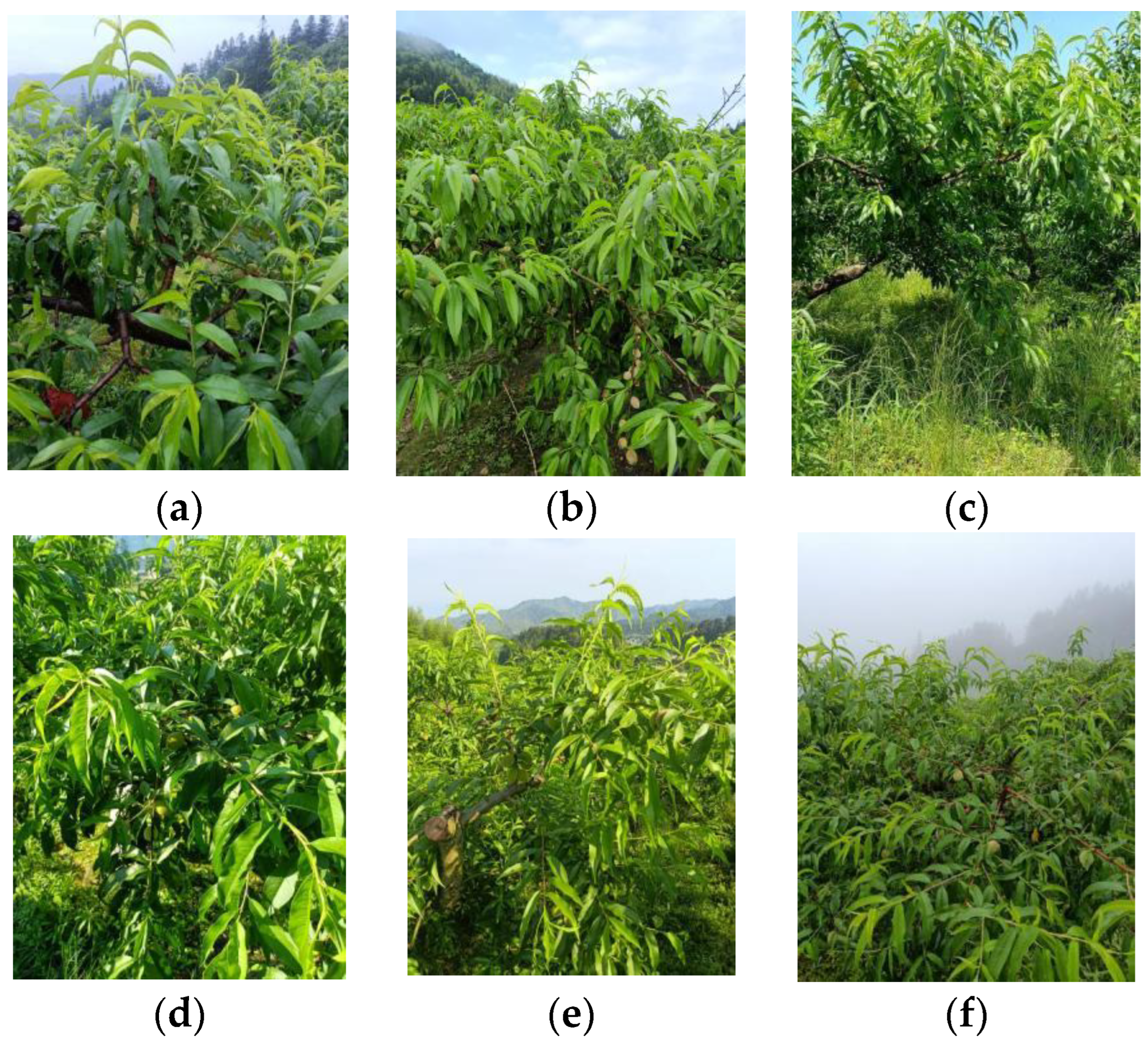 Sensors 23 05096 g001