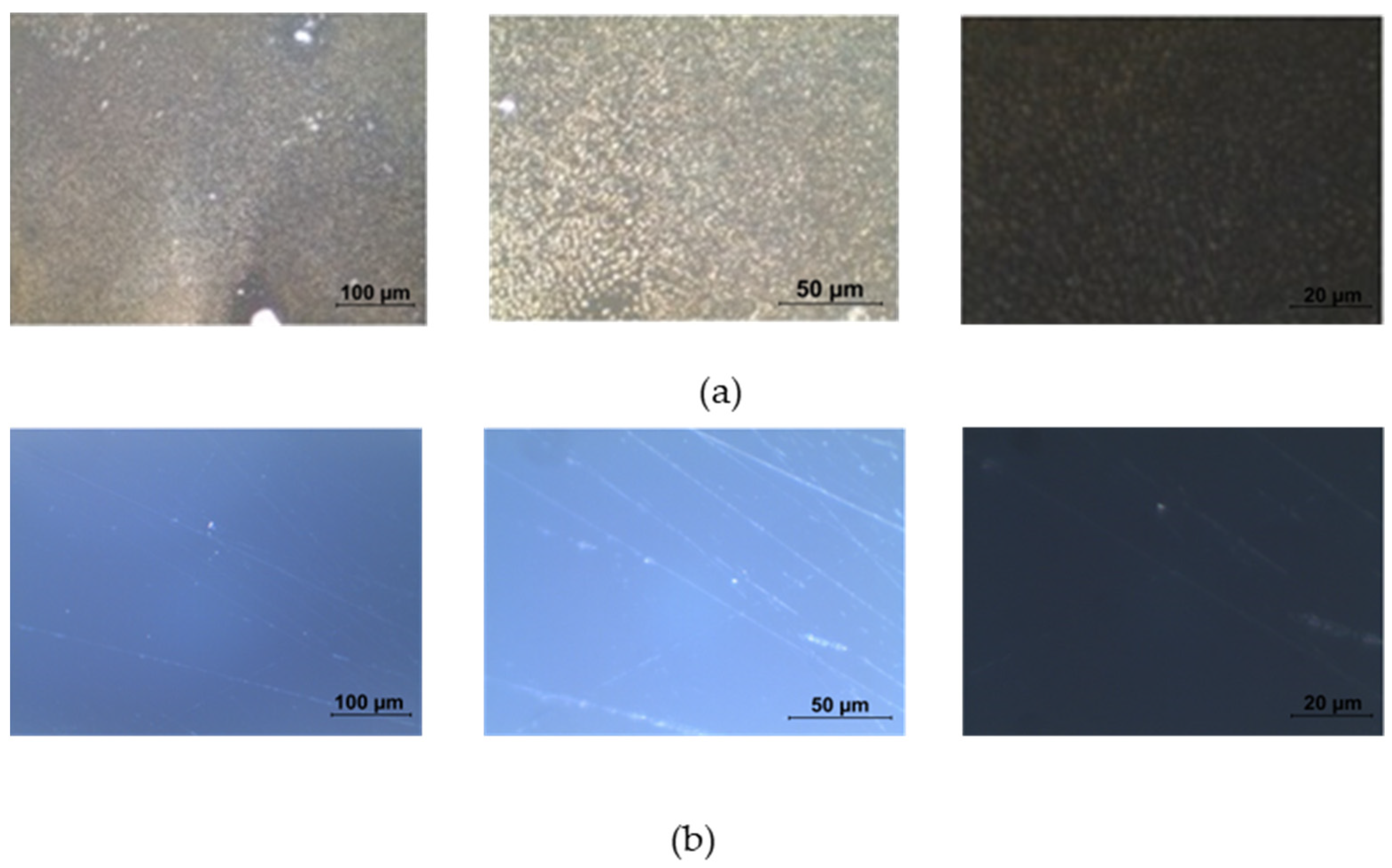 Sensors 23 05548 g002