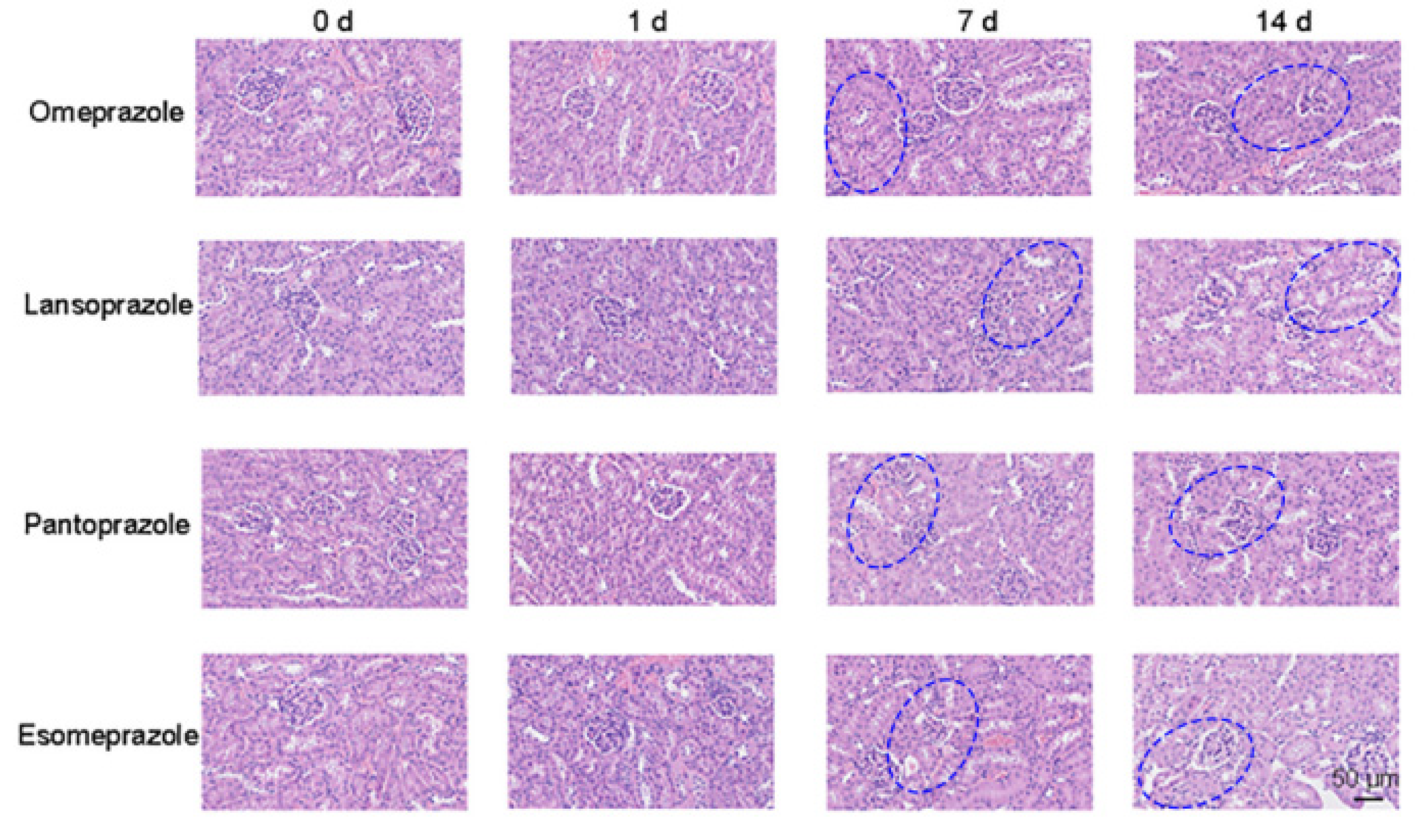 Sensors 23 06114 g007