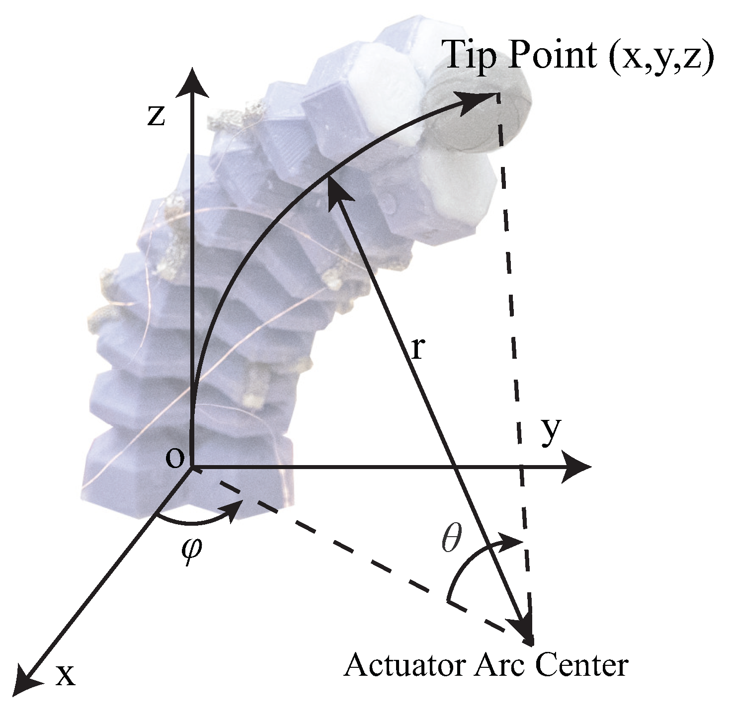 Sensors 23 06189 g004 Sensors 23 06189 g004