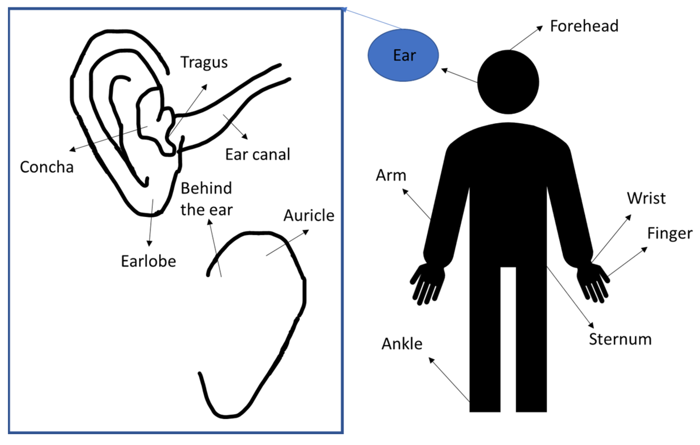 Sensors 23 06484 g001