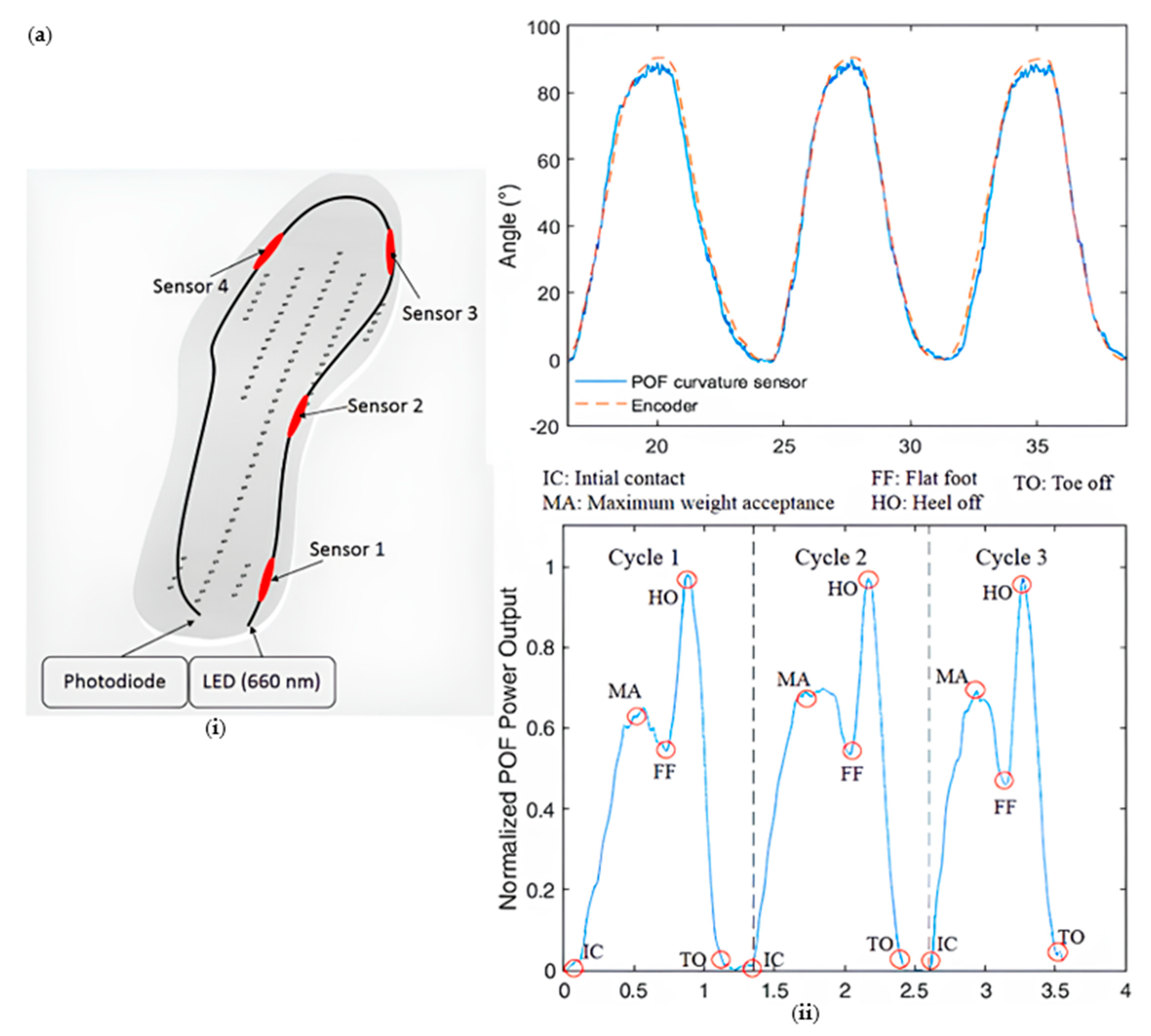 Sensors 23 06671 g011a Sensors 23 06671 g011a