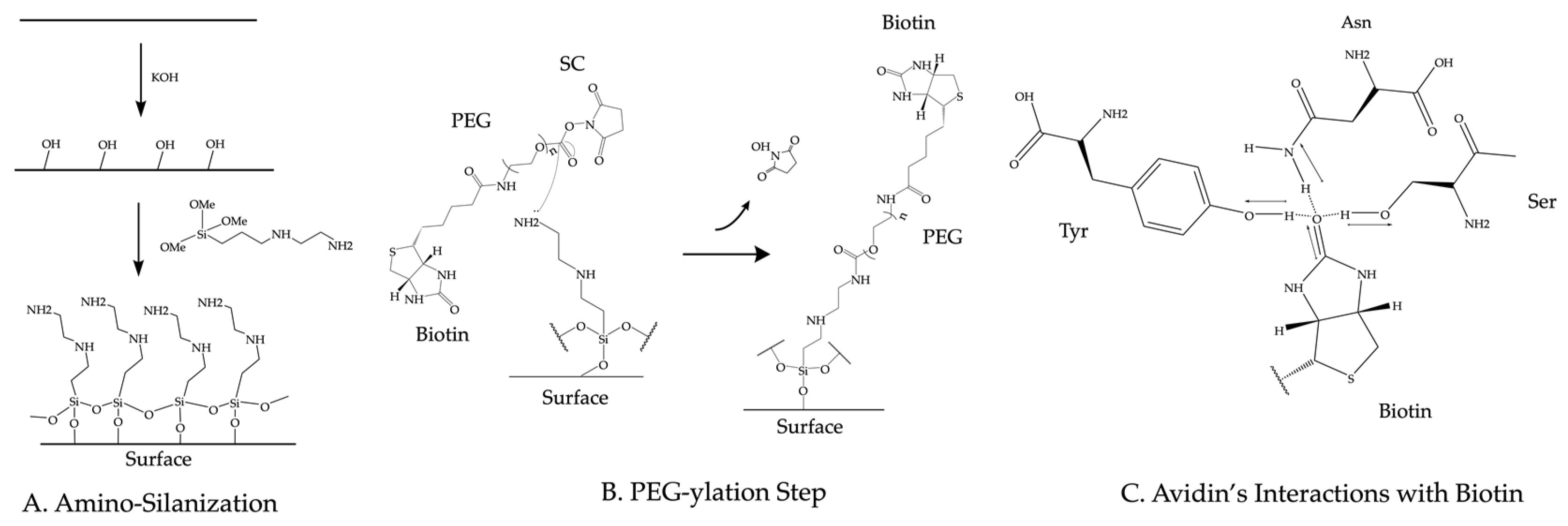 Sensors 23 07691 g003