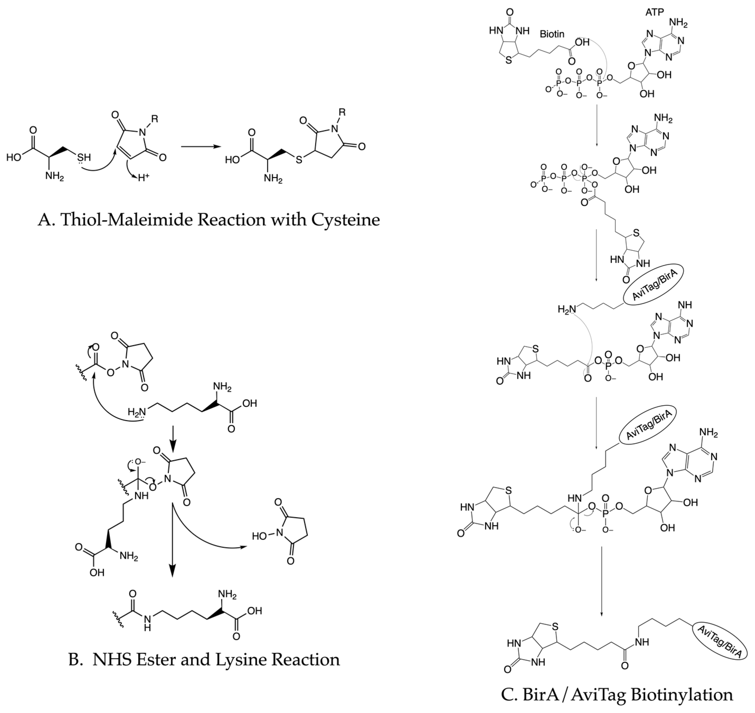 Sensors 23 07691 g004