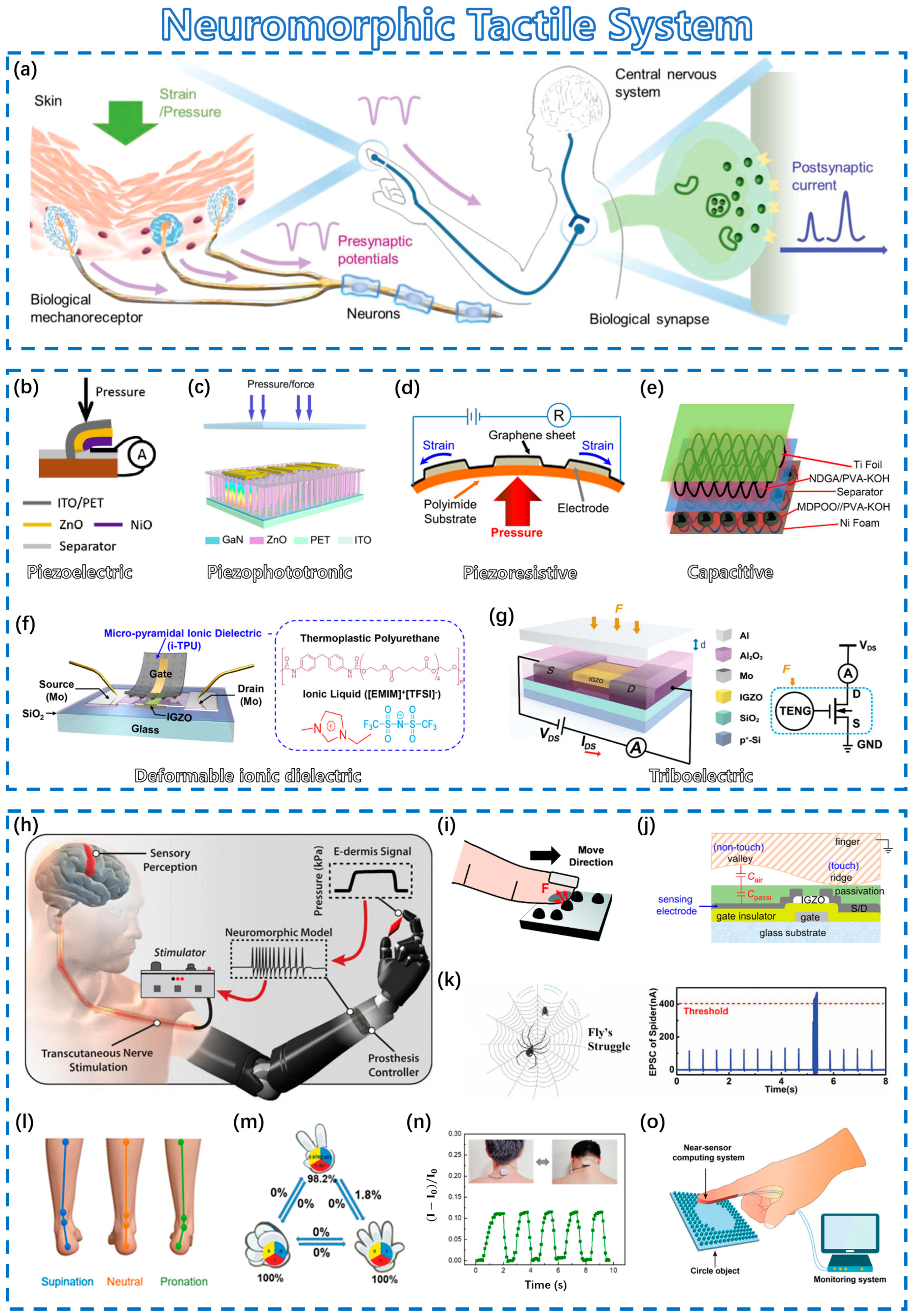 Sensors 23 09779 g006