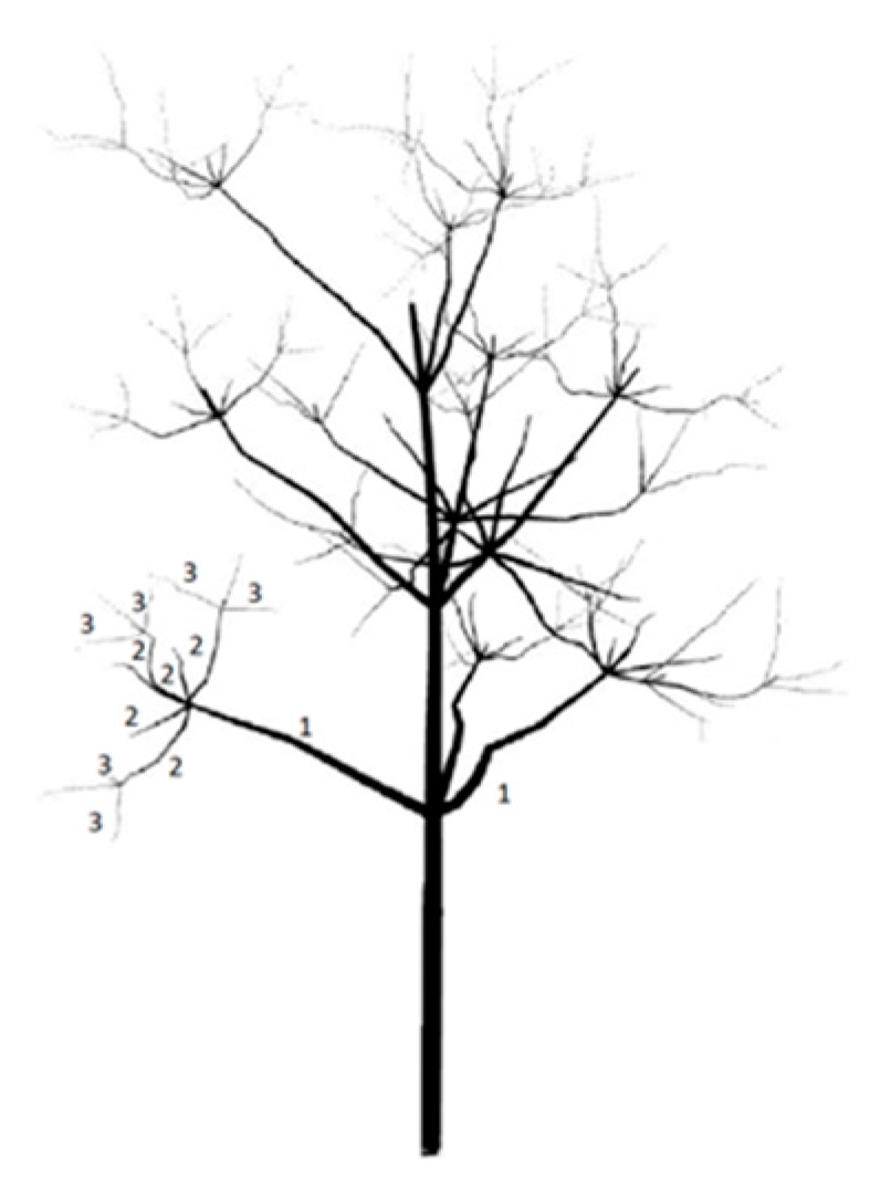 Sensors 24 00109 g010