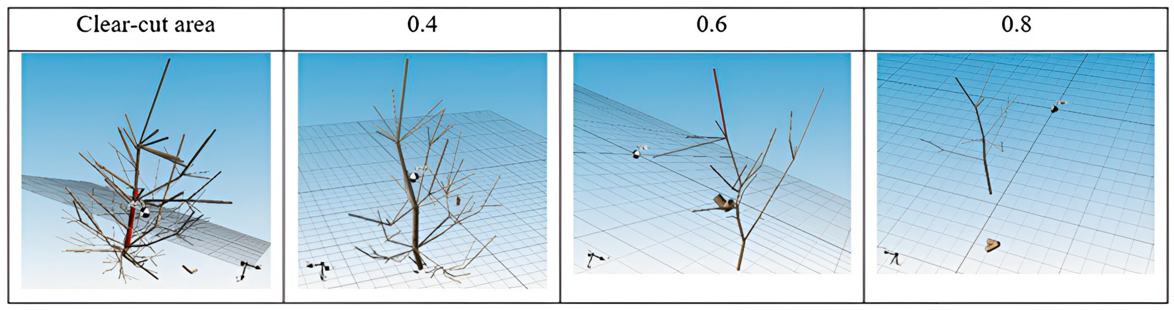 Sensors 24 00109 g012