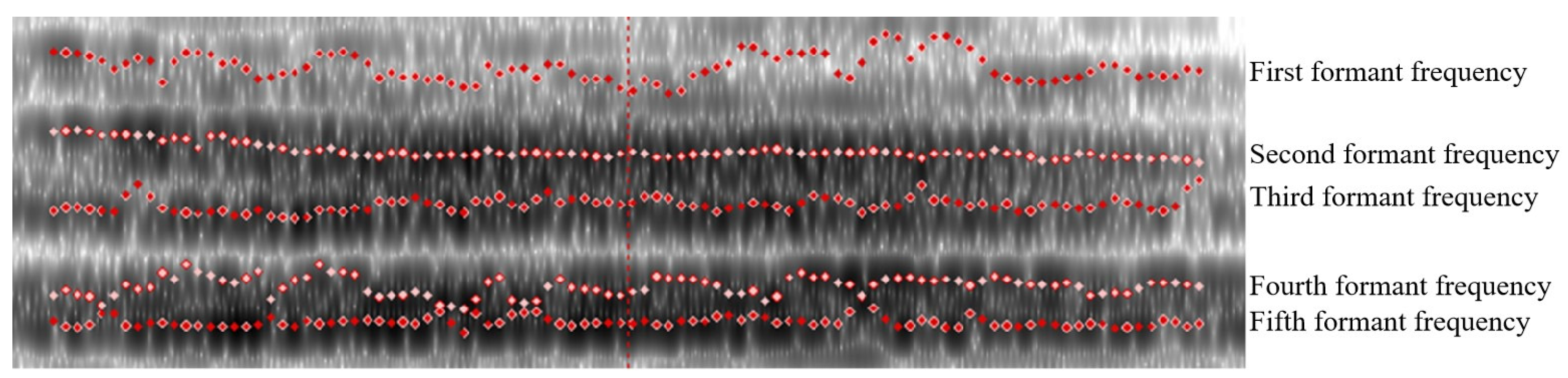 Sensors 24 00313 g006