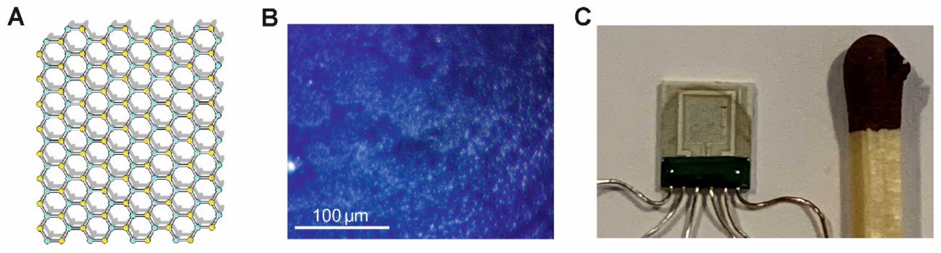 Sensors 24 00405 g003