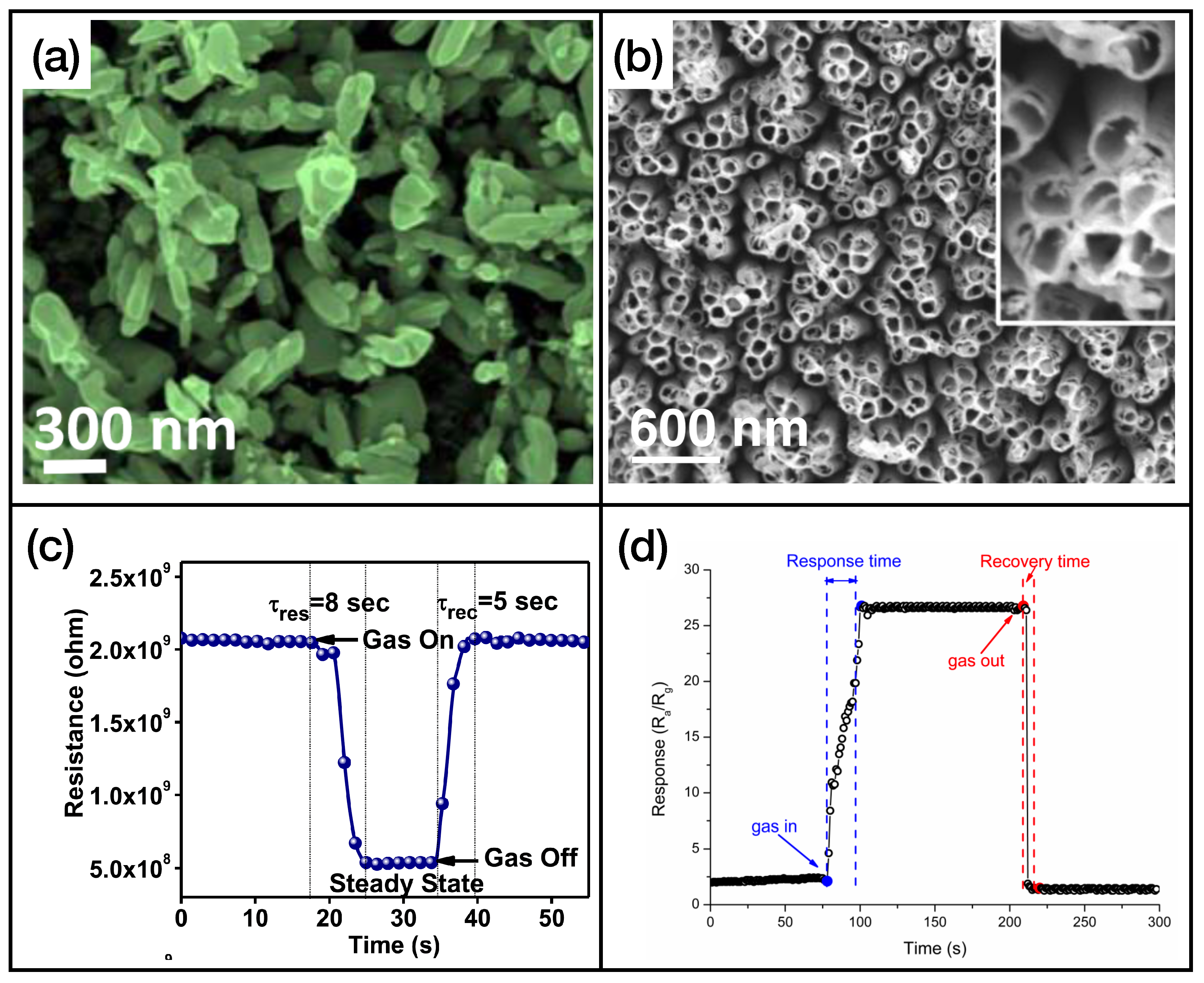 Sensors 24 00584 g004