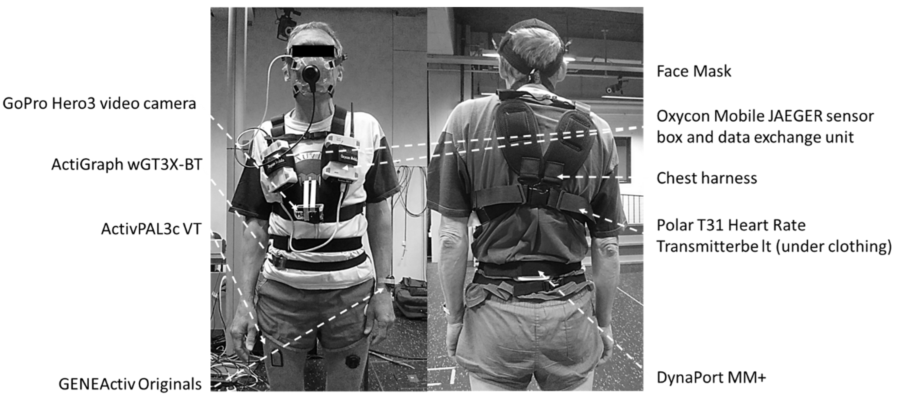 Sensors 24 00895 g001