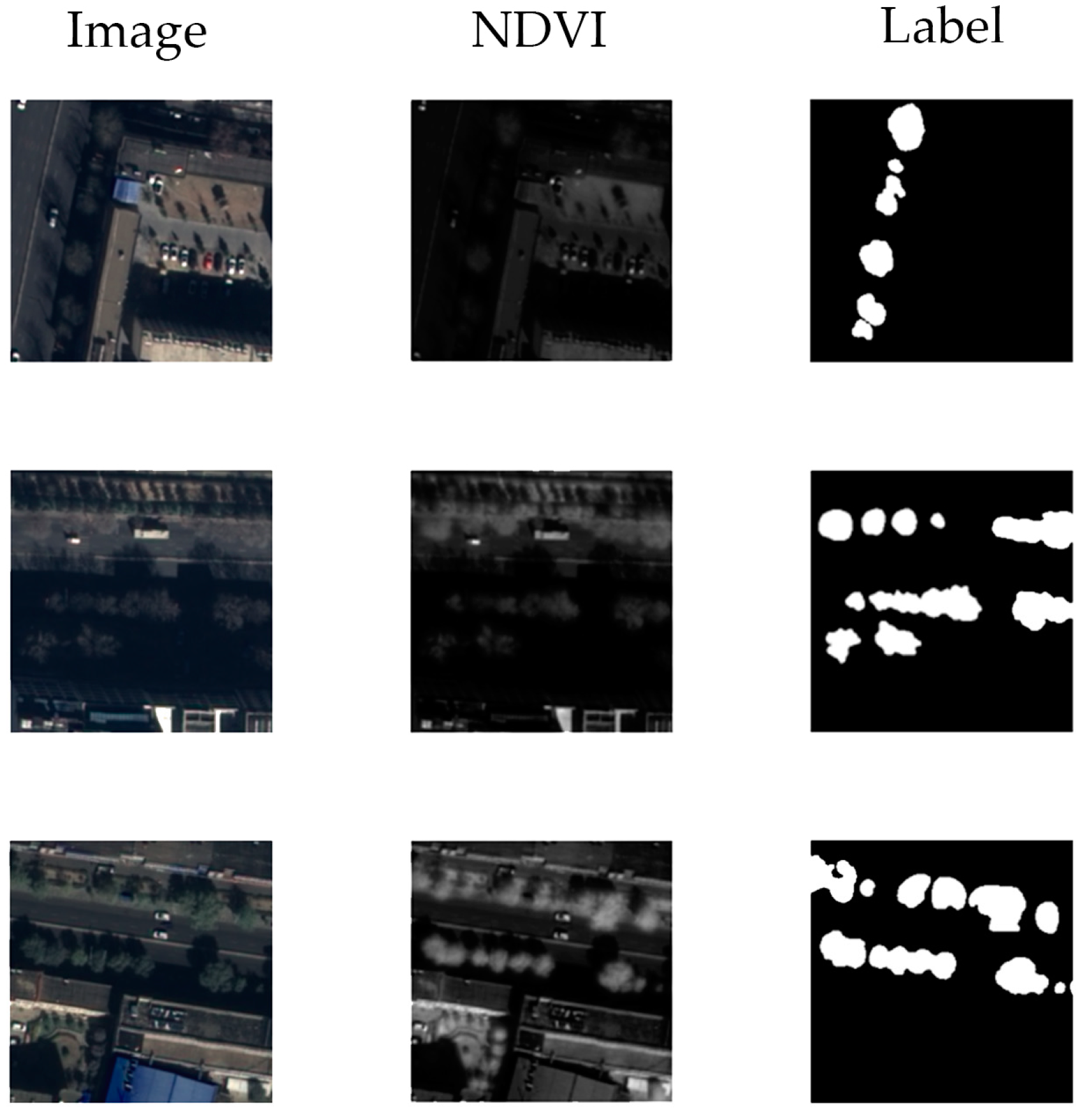 Sensors 24 01110 g001 Sensors 24 01110 g001