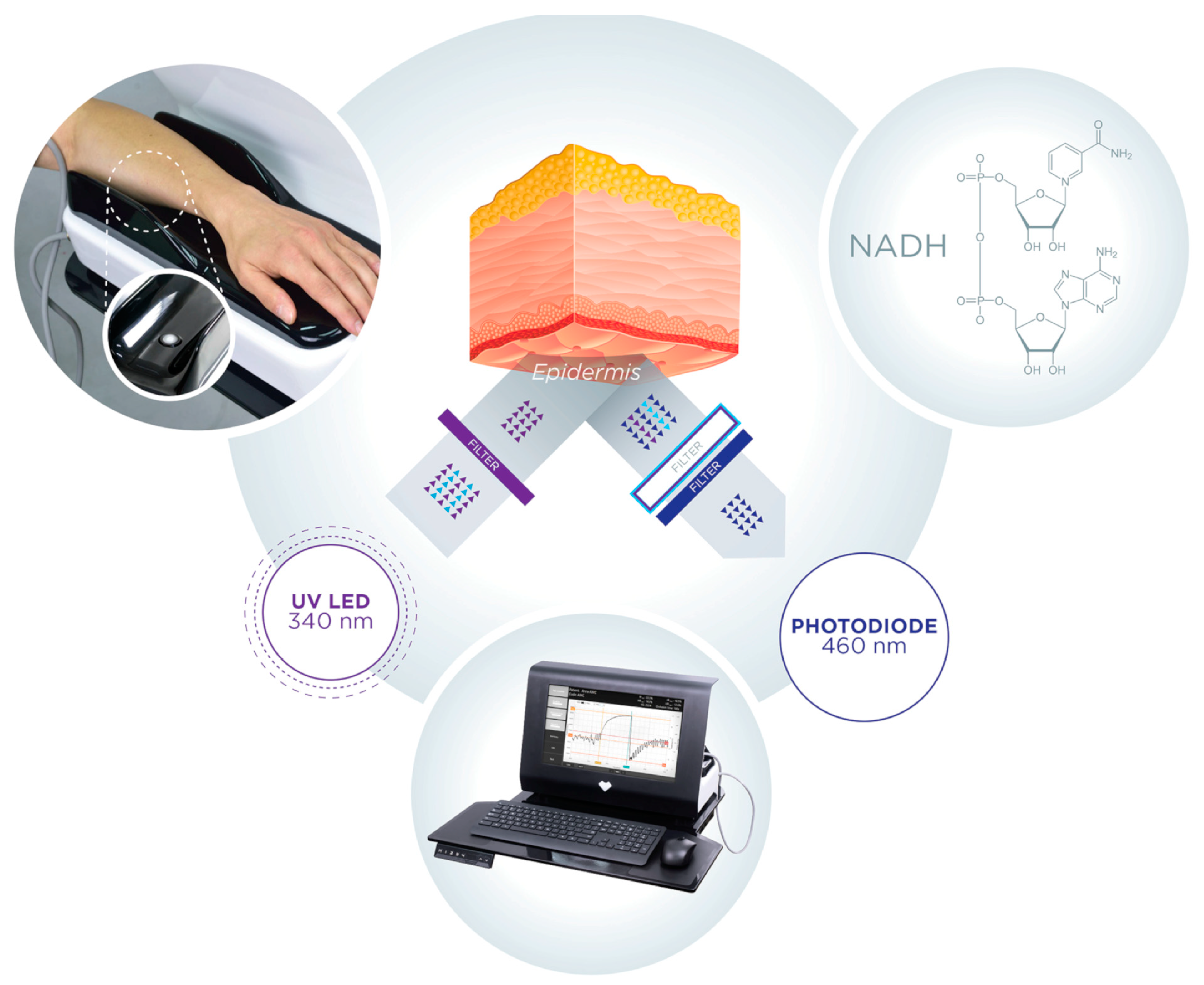 Sensors 24 01721 g001