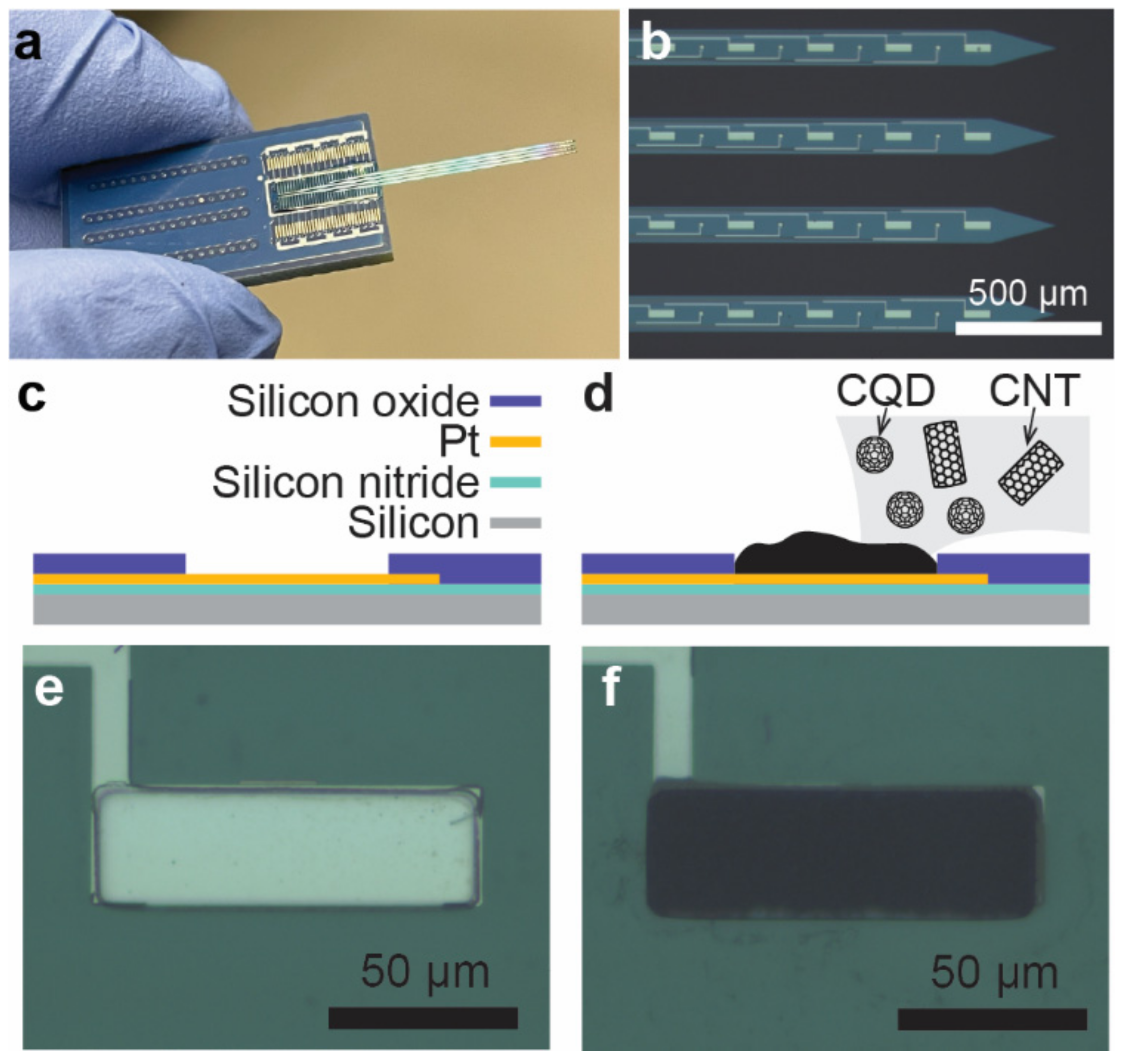 Sensors 24 01893 g001