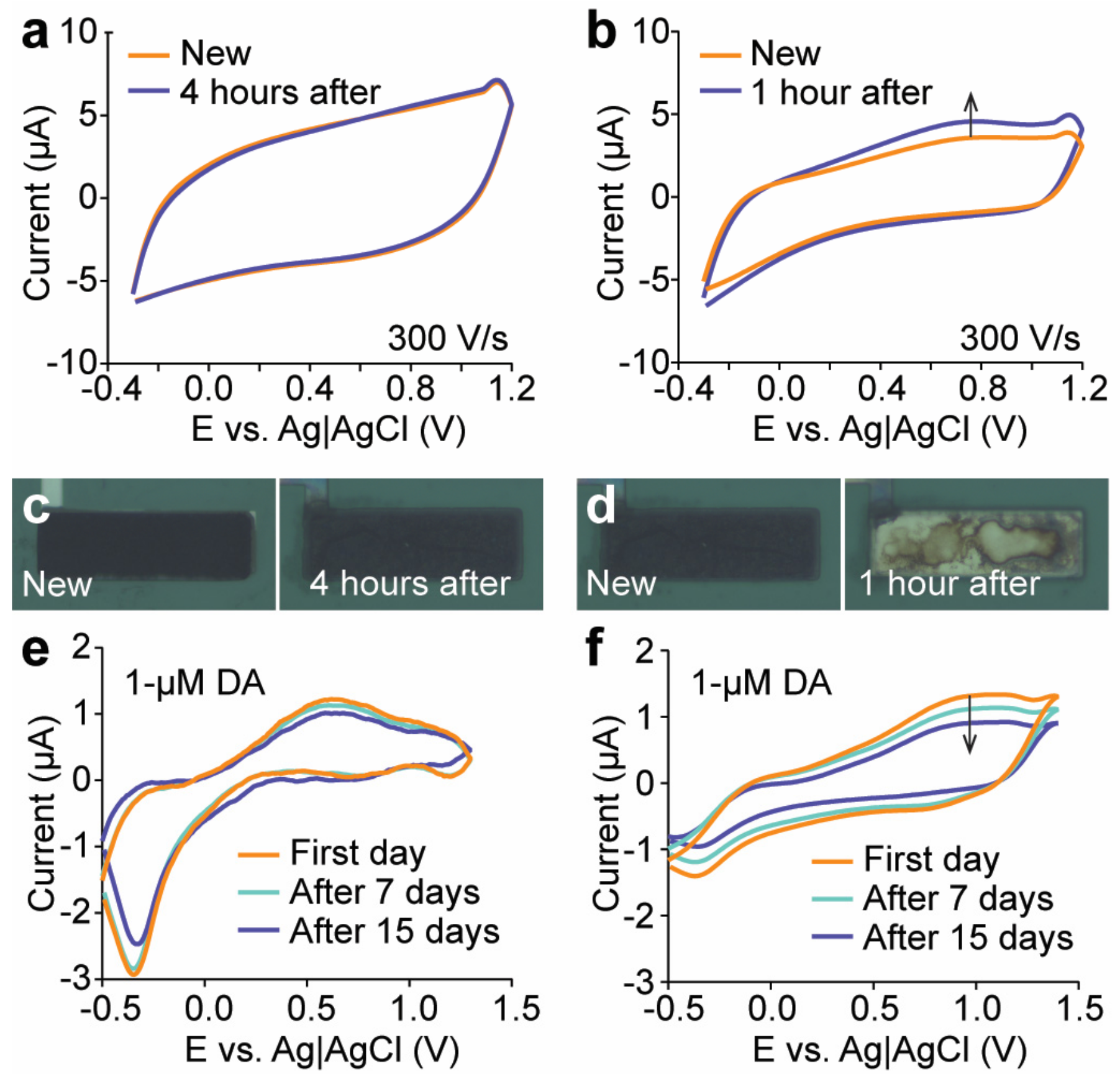 Sensors 24 01893 g007