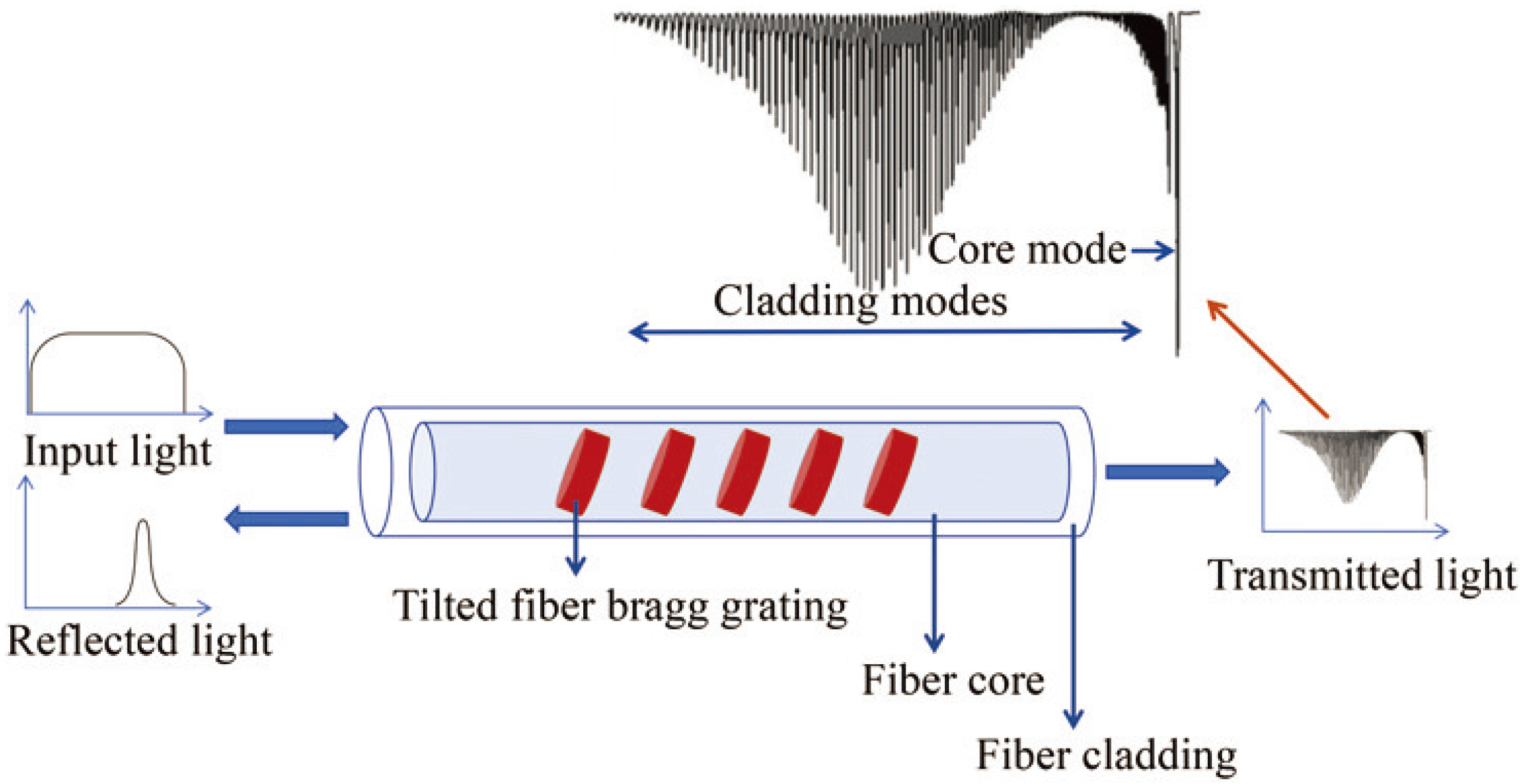 Sensors 24 02057 g003