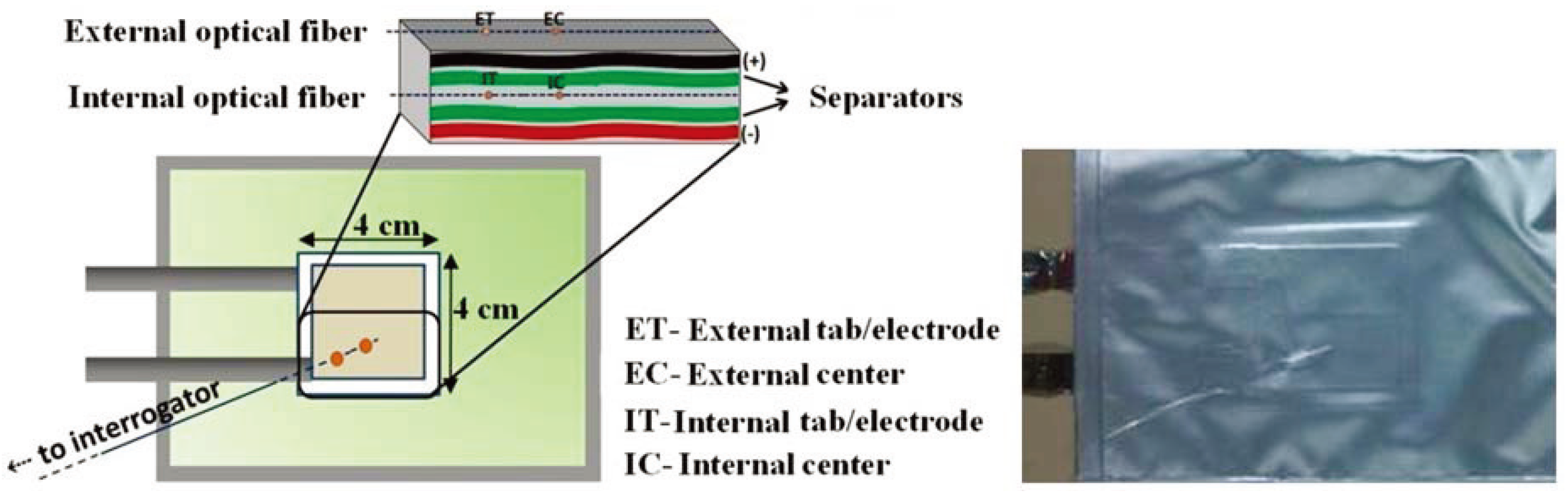 Sensors 24 02057 g005