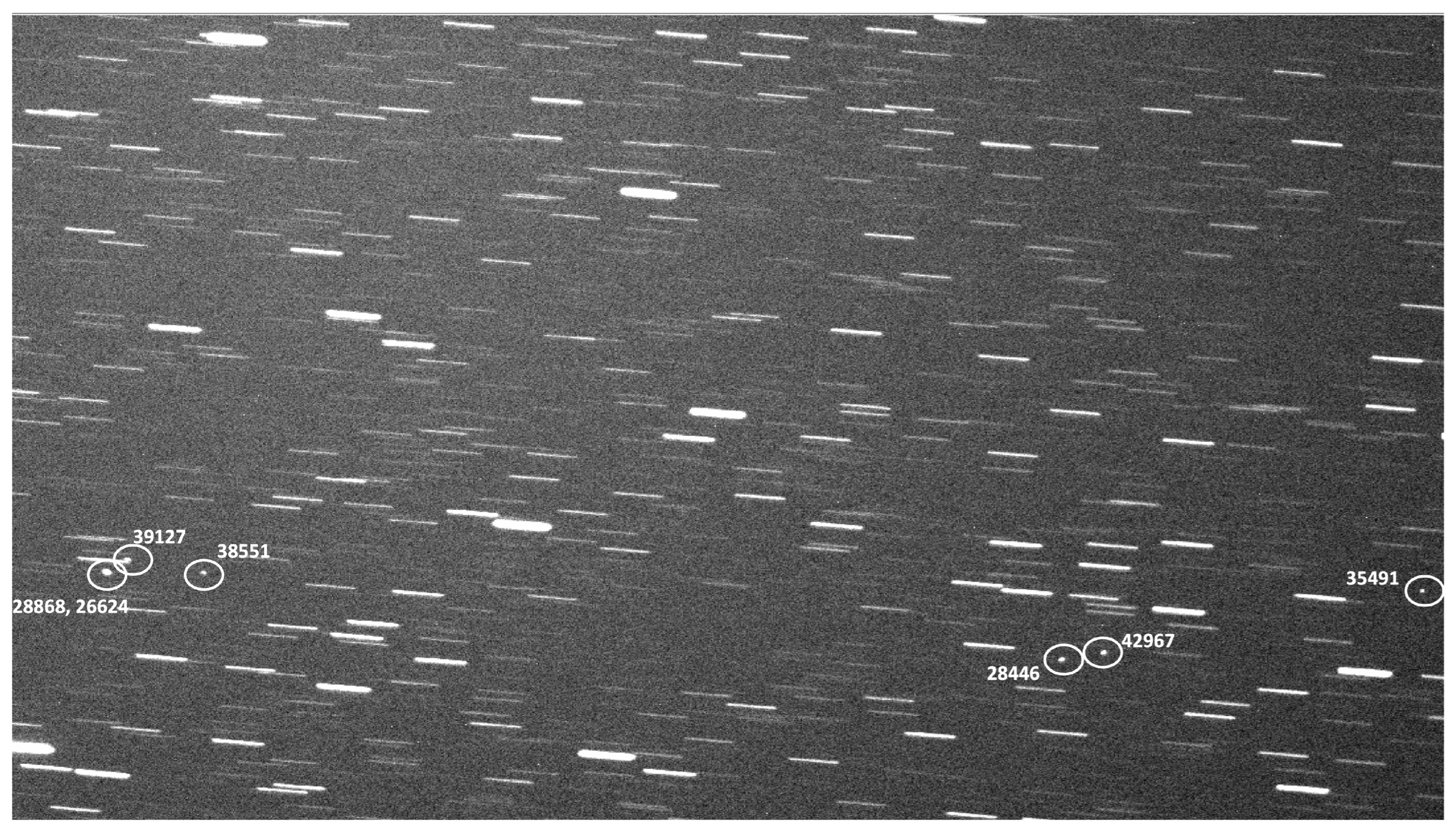 Sensors 24 02596 g010