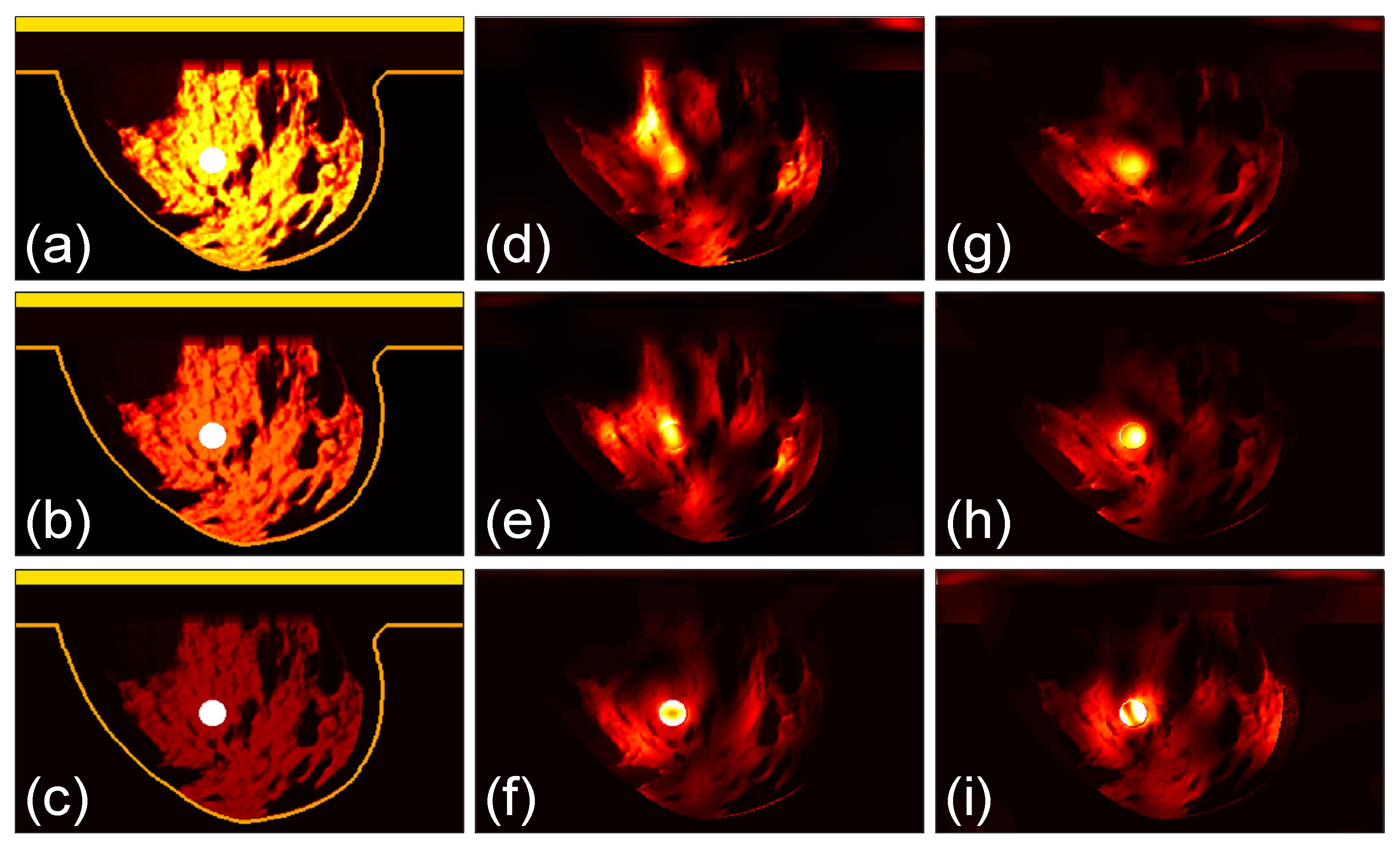 Sensors 24 02682 g012