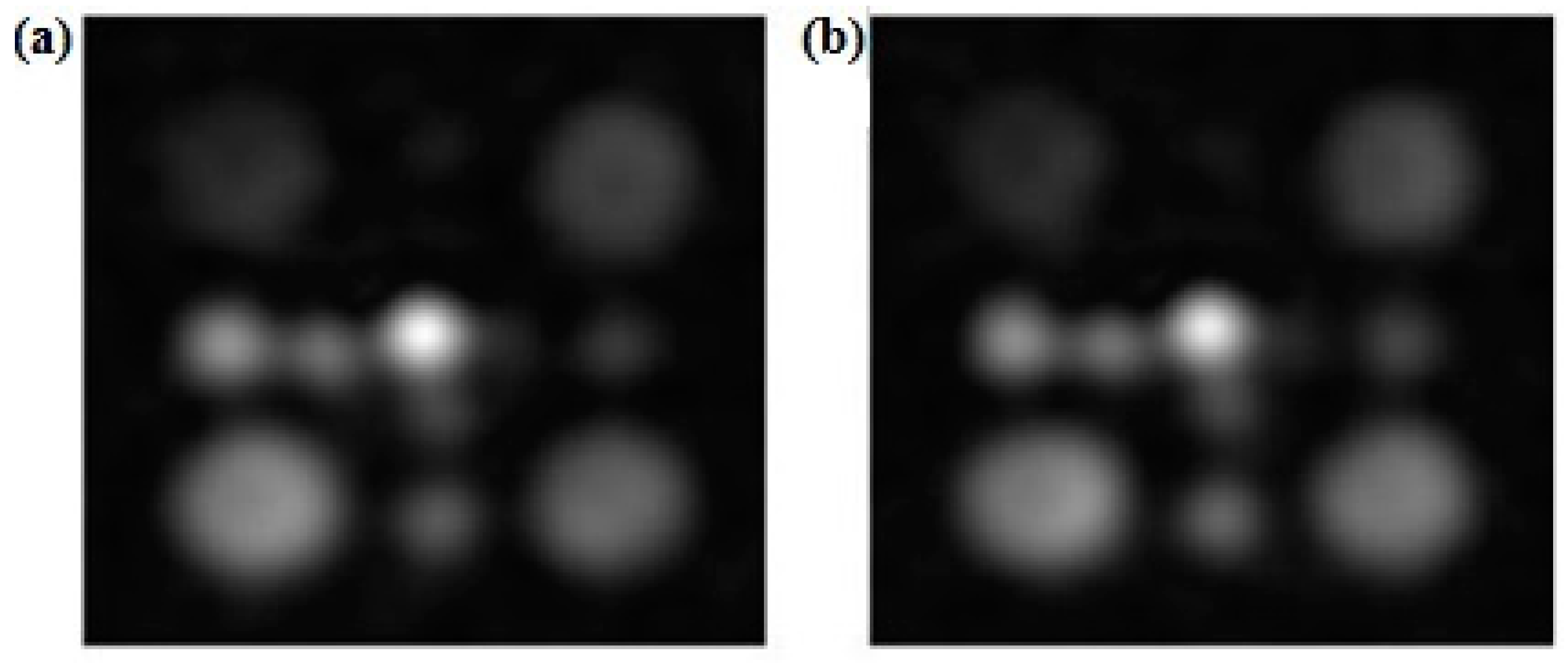 Sensors 24 02716 g004