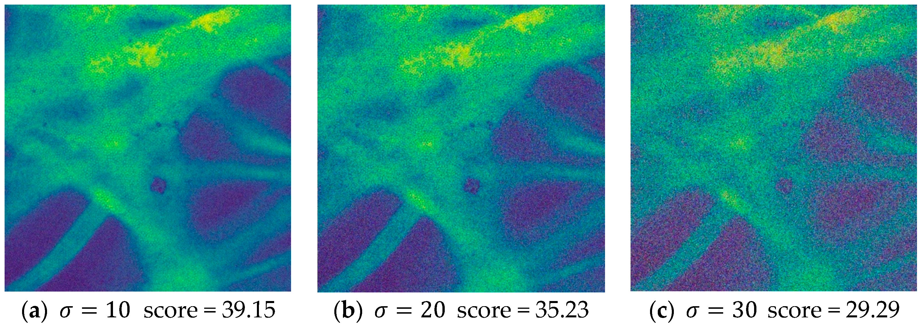 Sensors 24 02853 g005