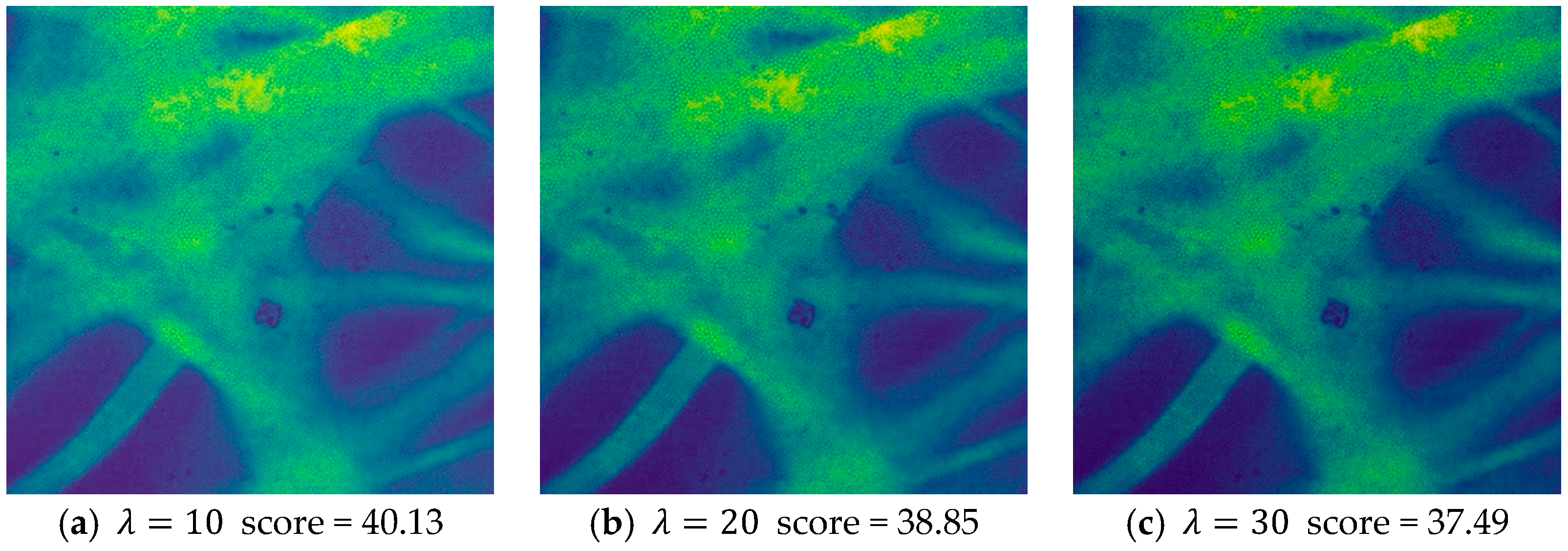 Sensors 24 02853 g006