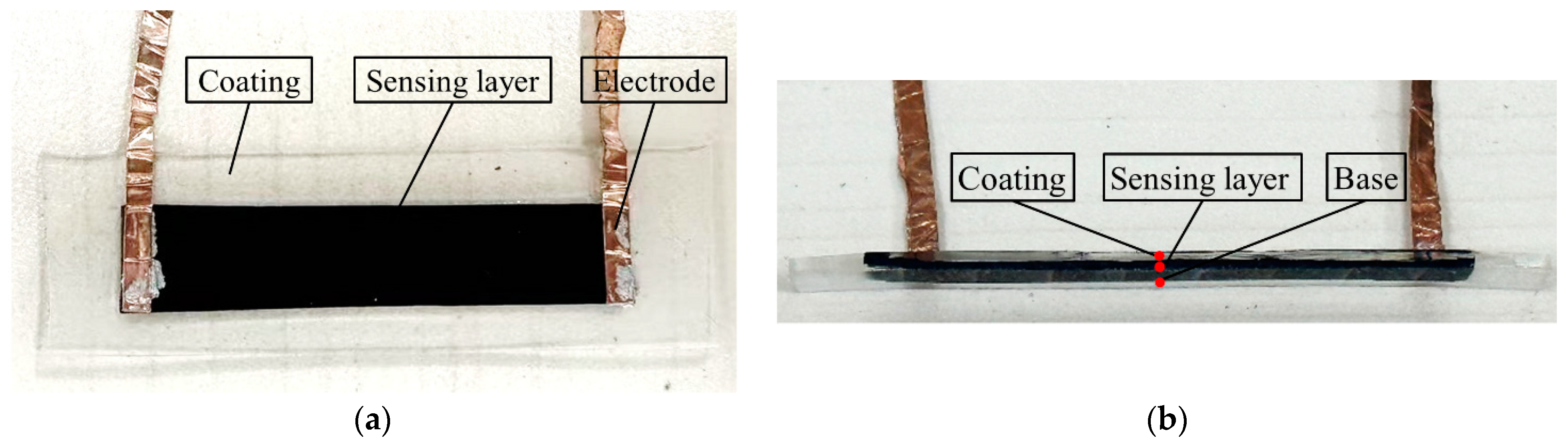 Sensors 24 02856 g002