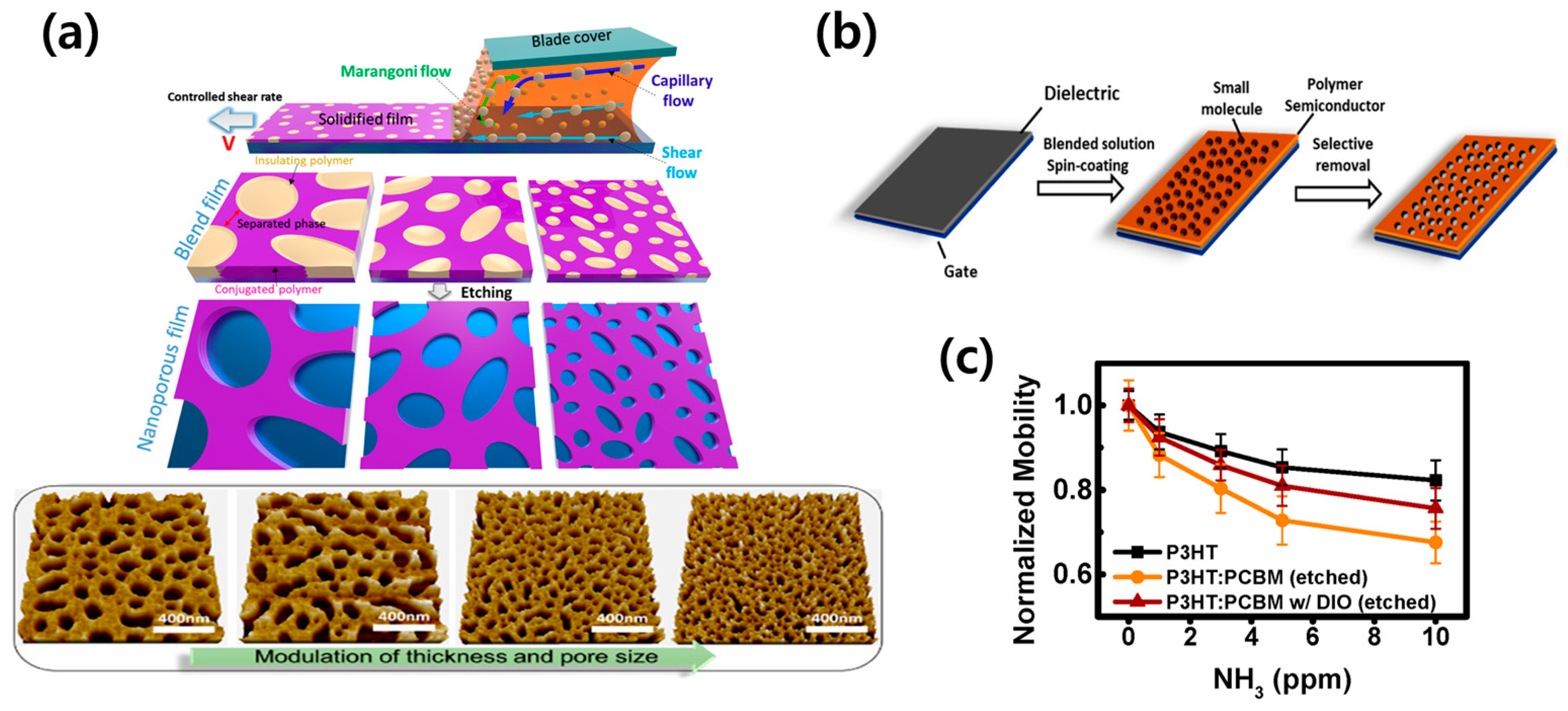 Sensors 24 02862 g010
