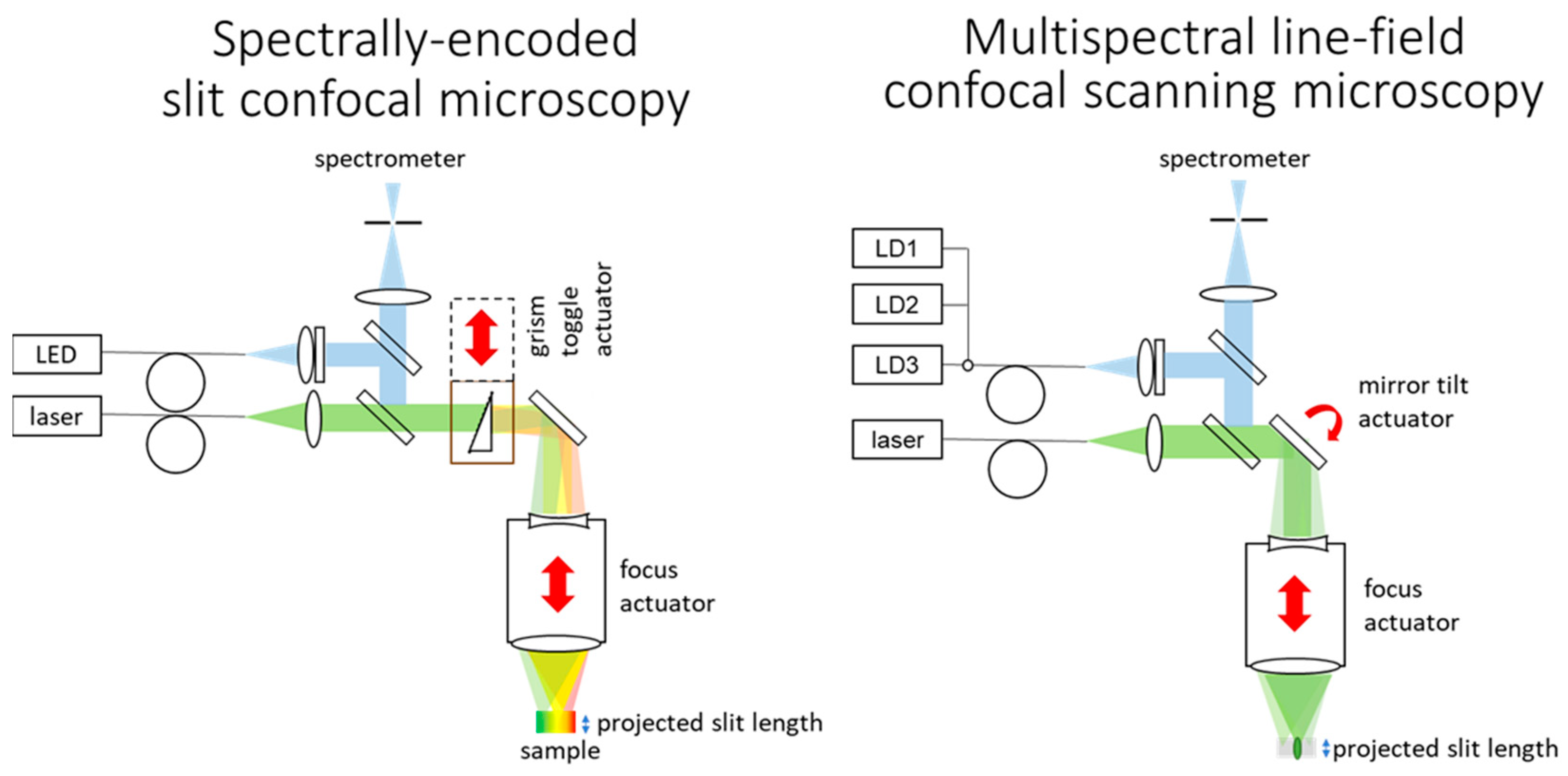 Sensors 24 02872 g004
