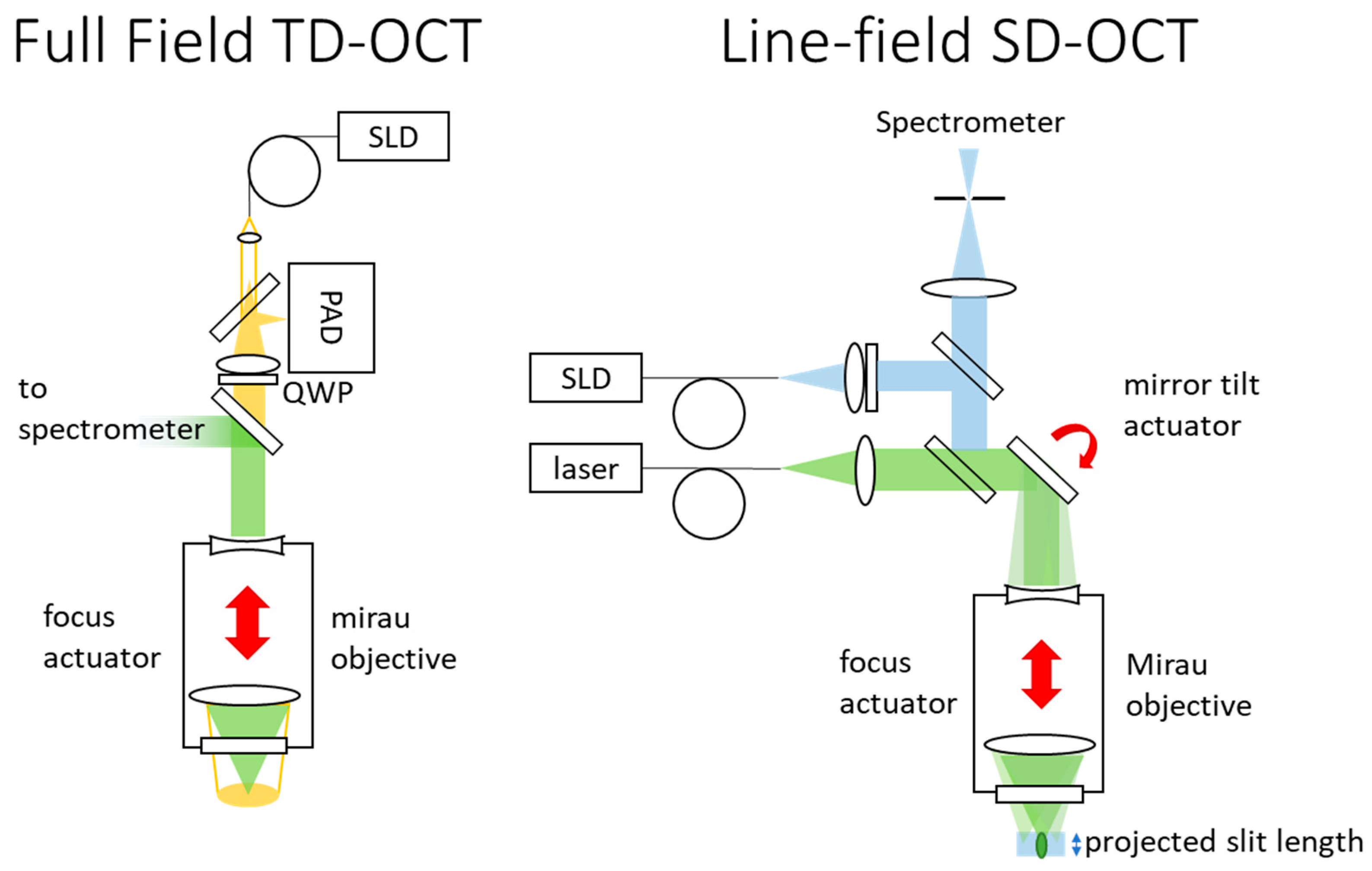 Sensors 24 02872 g005